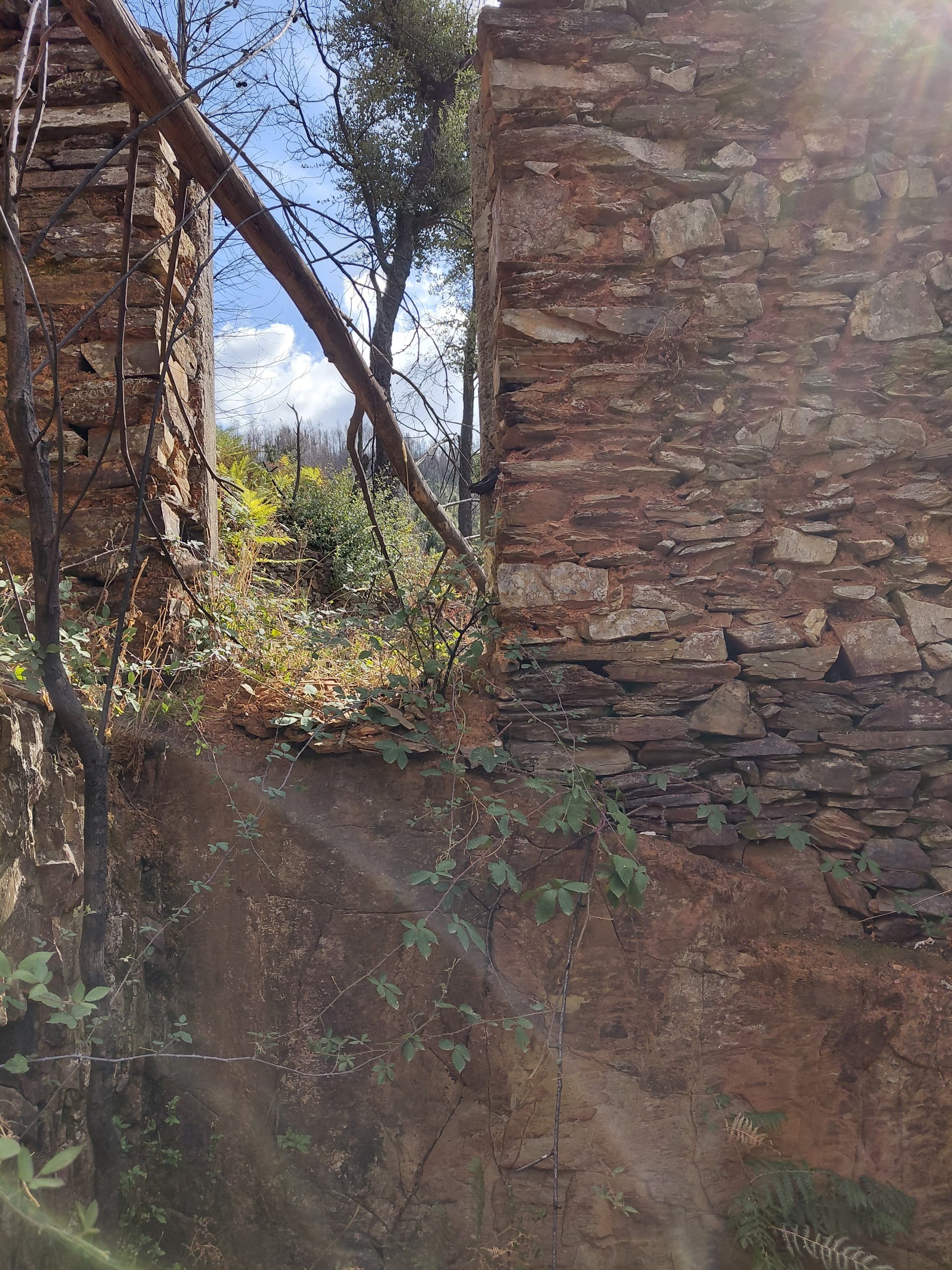 Casa3 - 20250828_163753