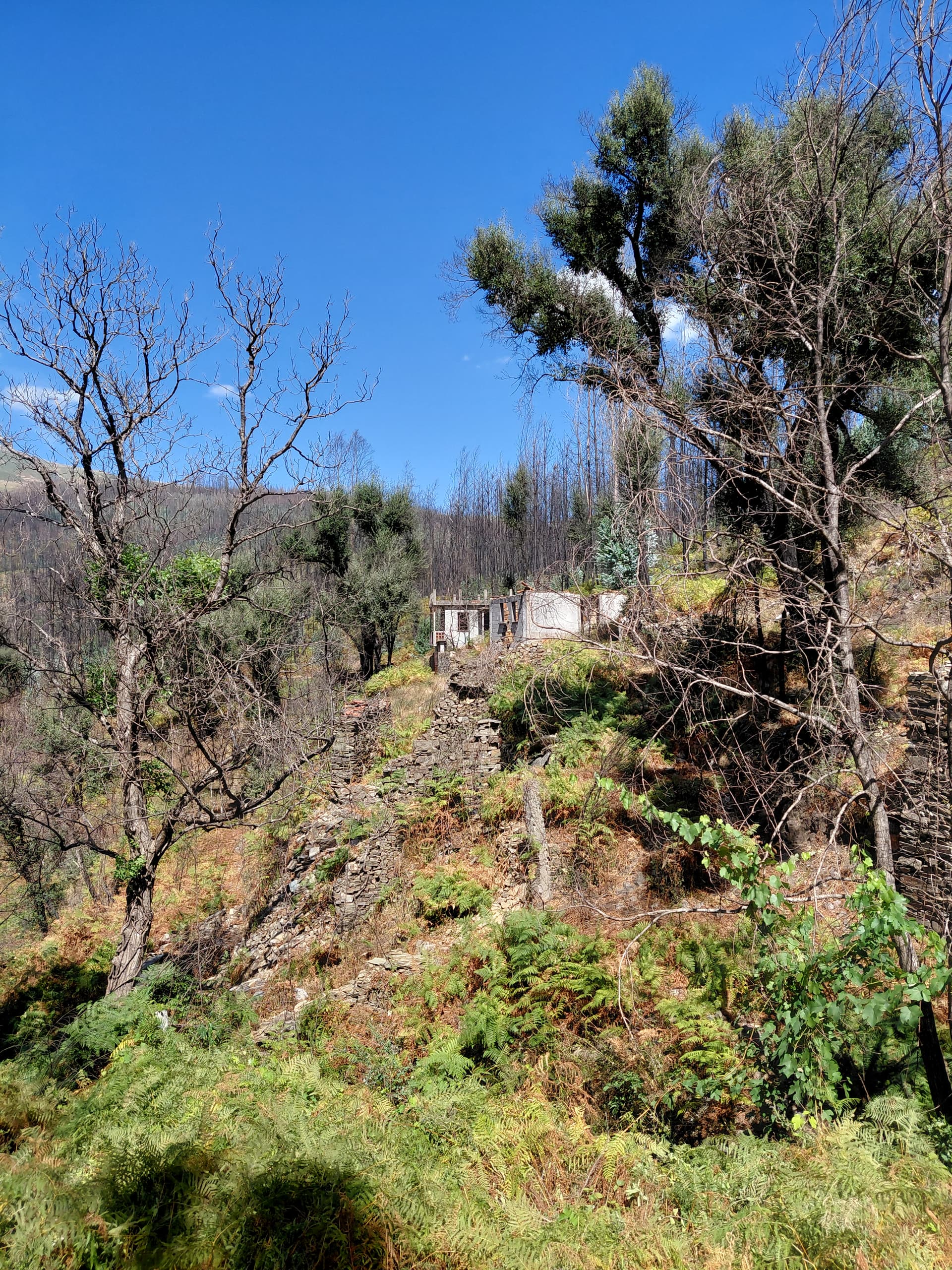 Casa4 - 20250828_150547