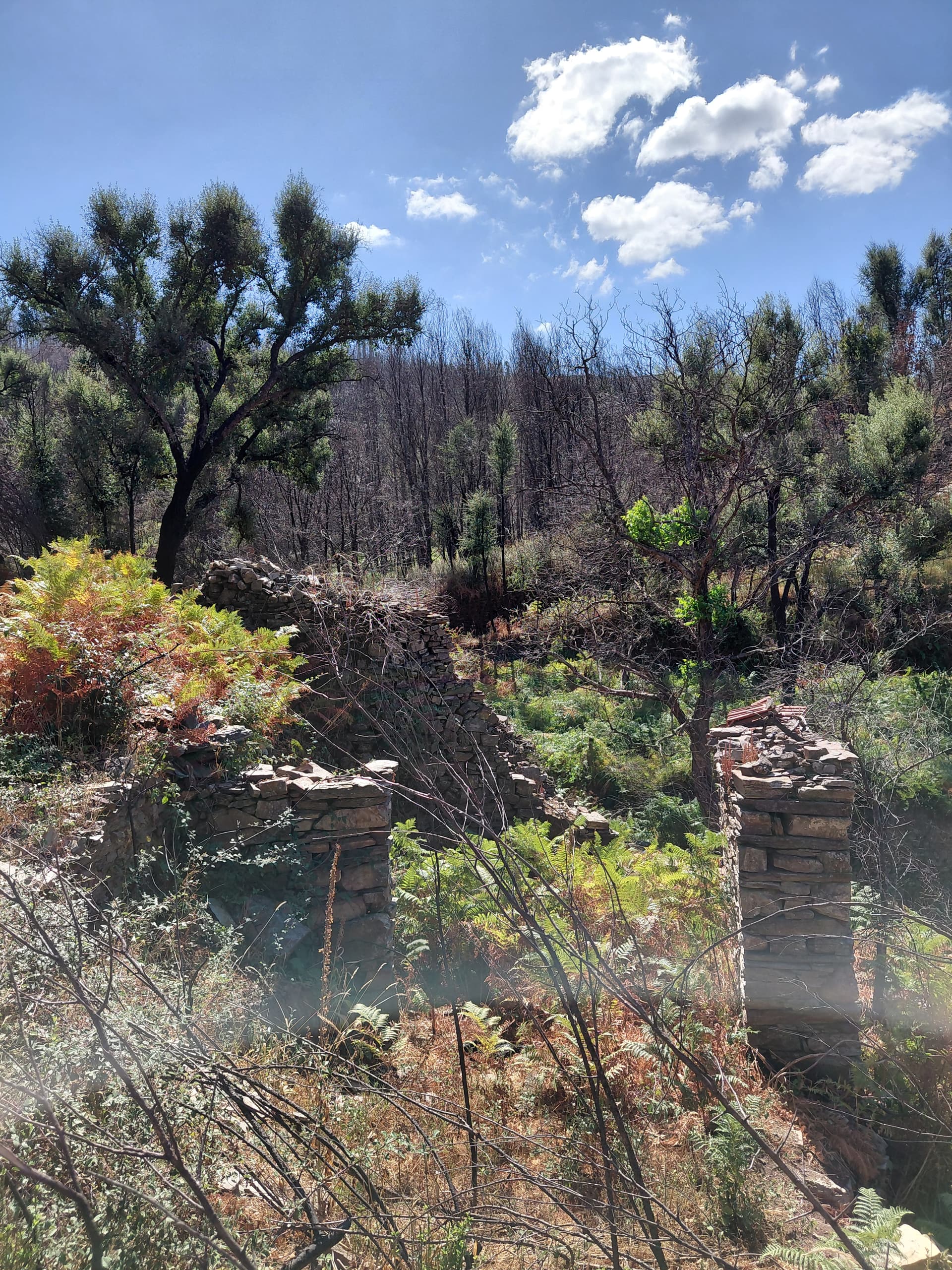 Casa4 - 20250828_151005