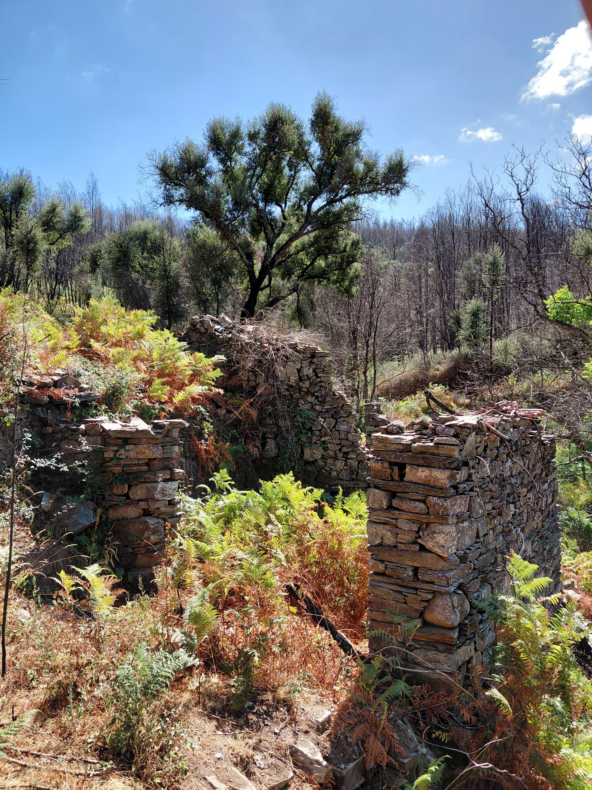 Casa4 - 20250828_151031