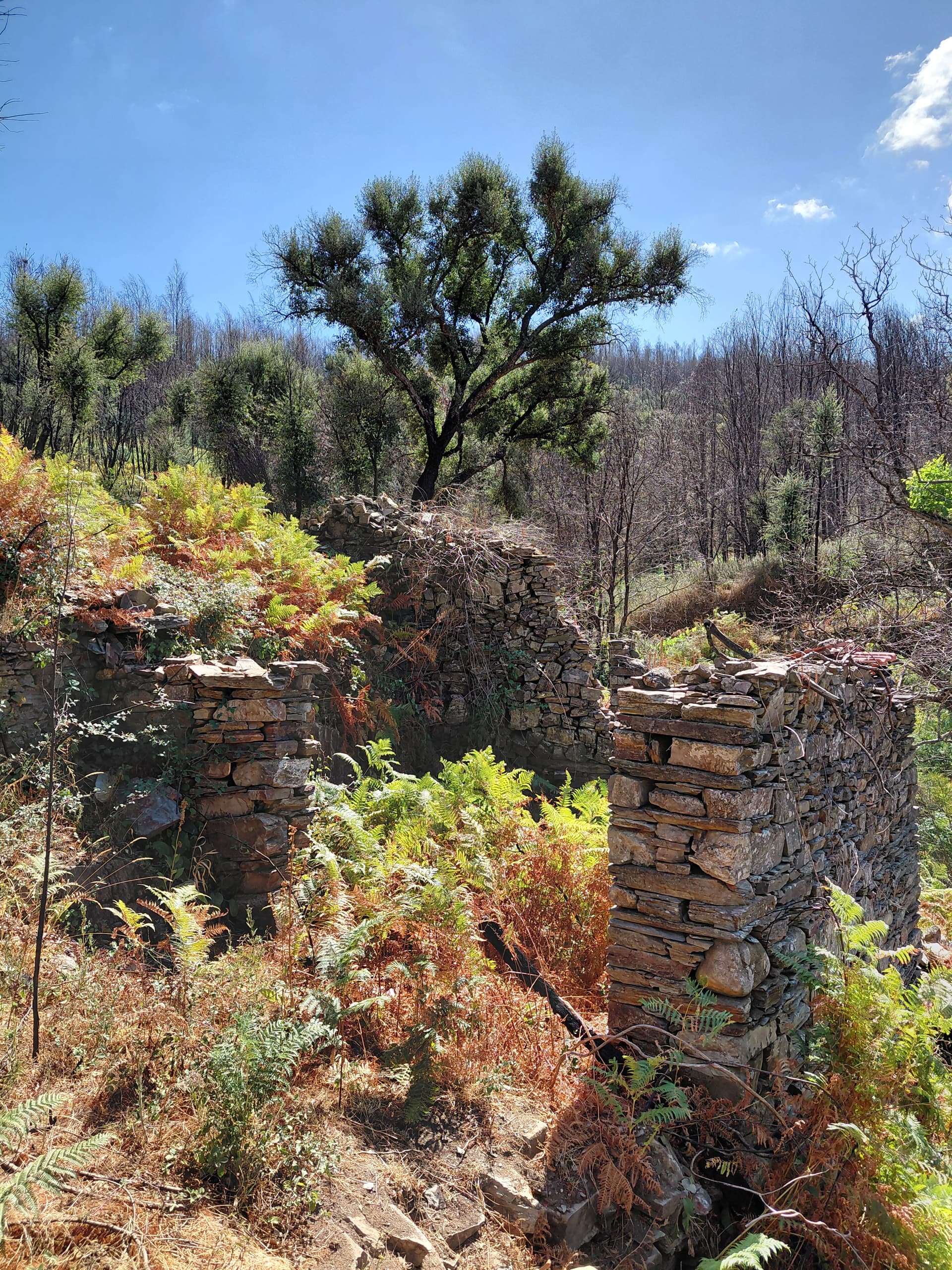 Casa4 - 20250828_151034