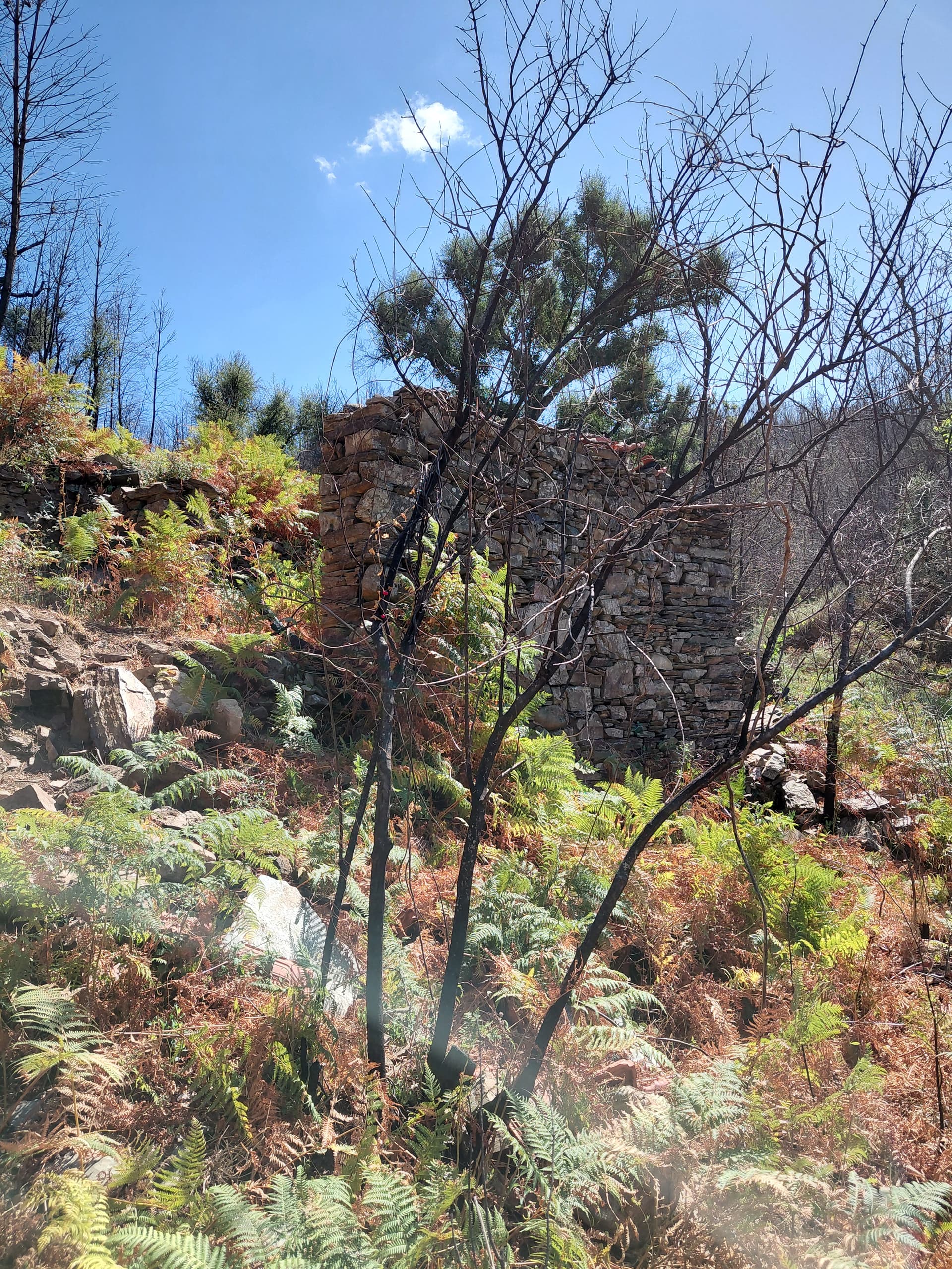 Casa4 - 20250828_151138