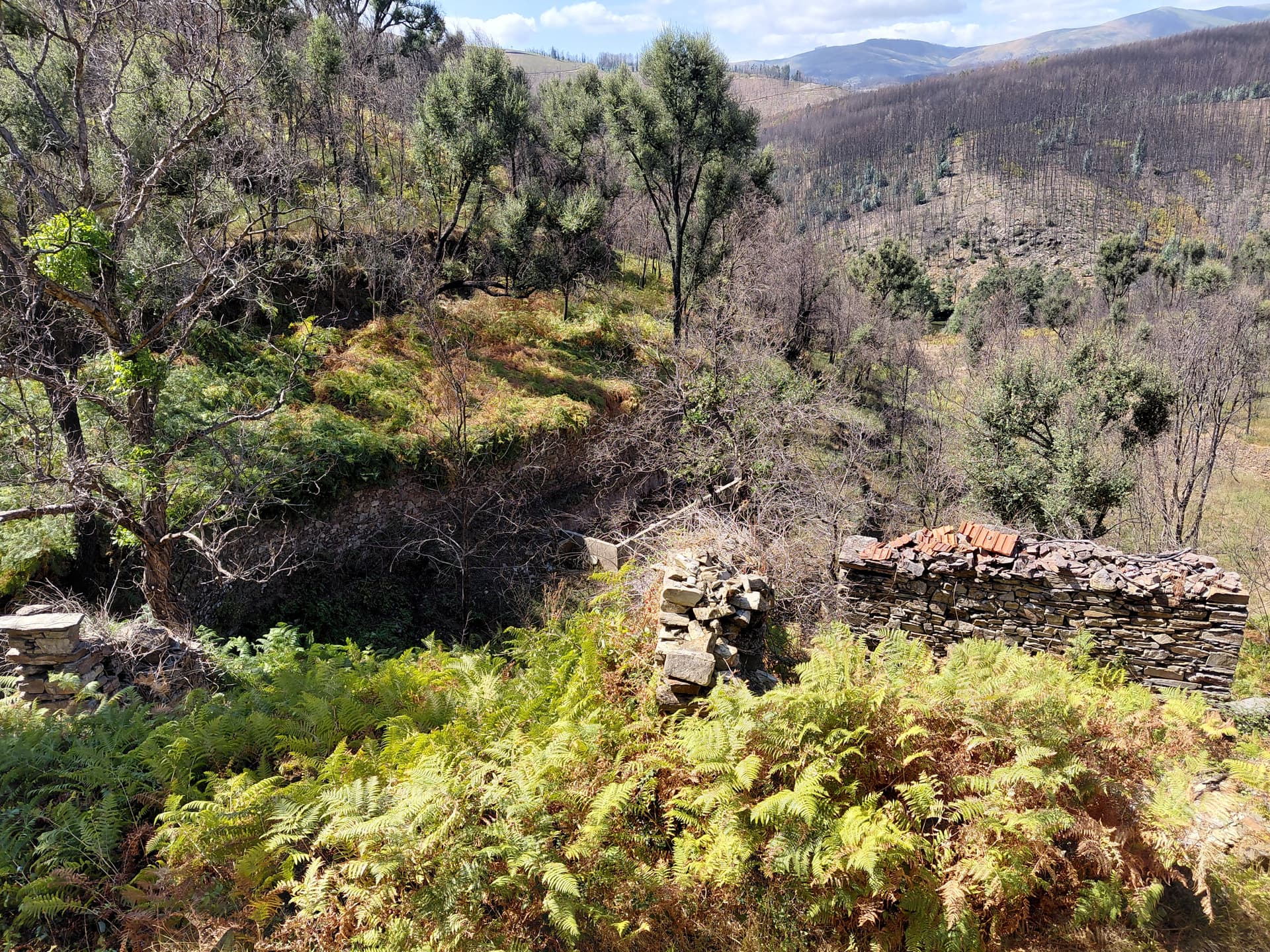 Casa4 - 20250828_151316