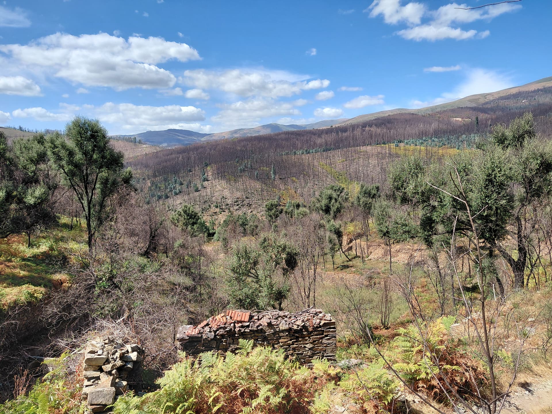 Casa4 - 20250828_151319