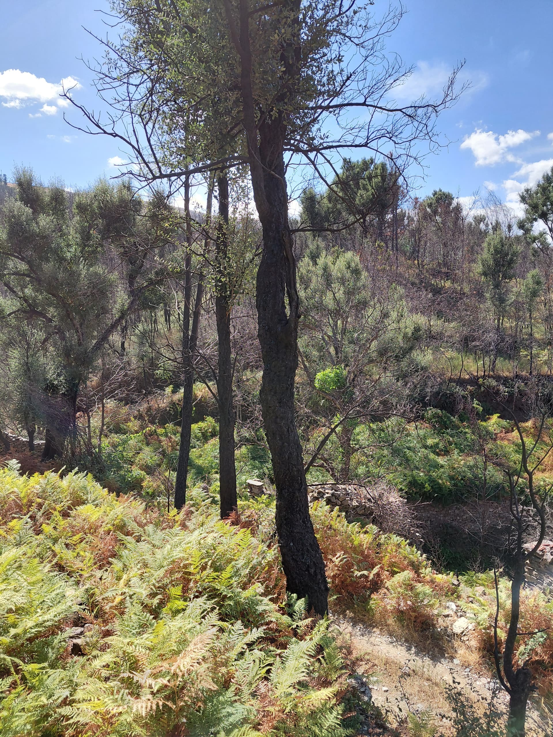 Casa4 - 20250828_151946