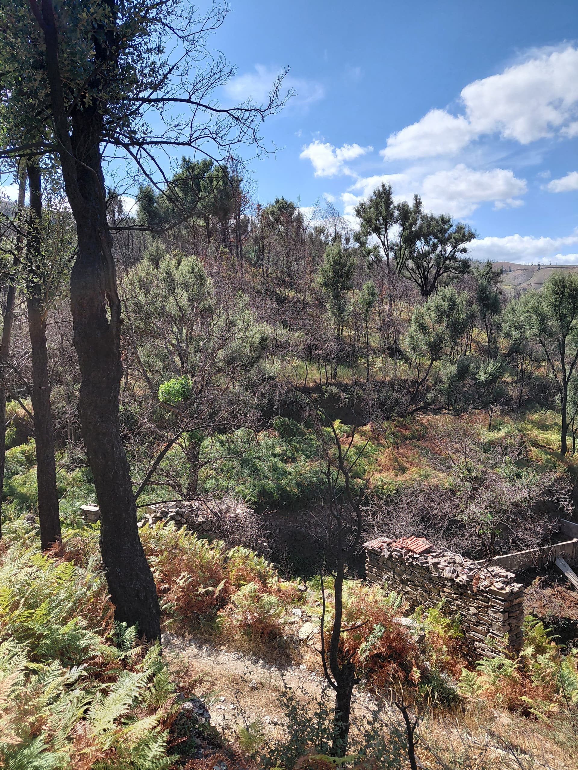 Casa4 - 20250828_151948