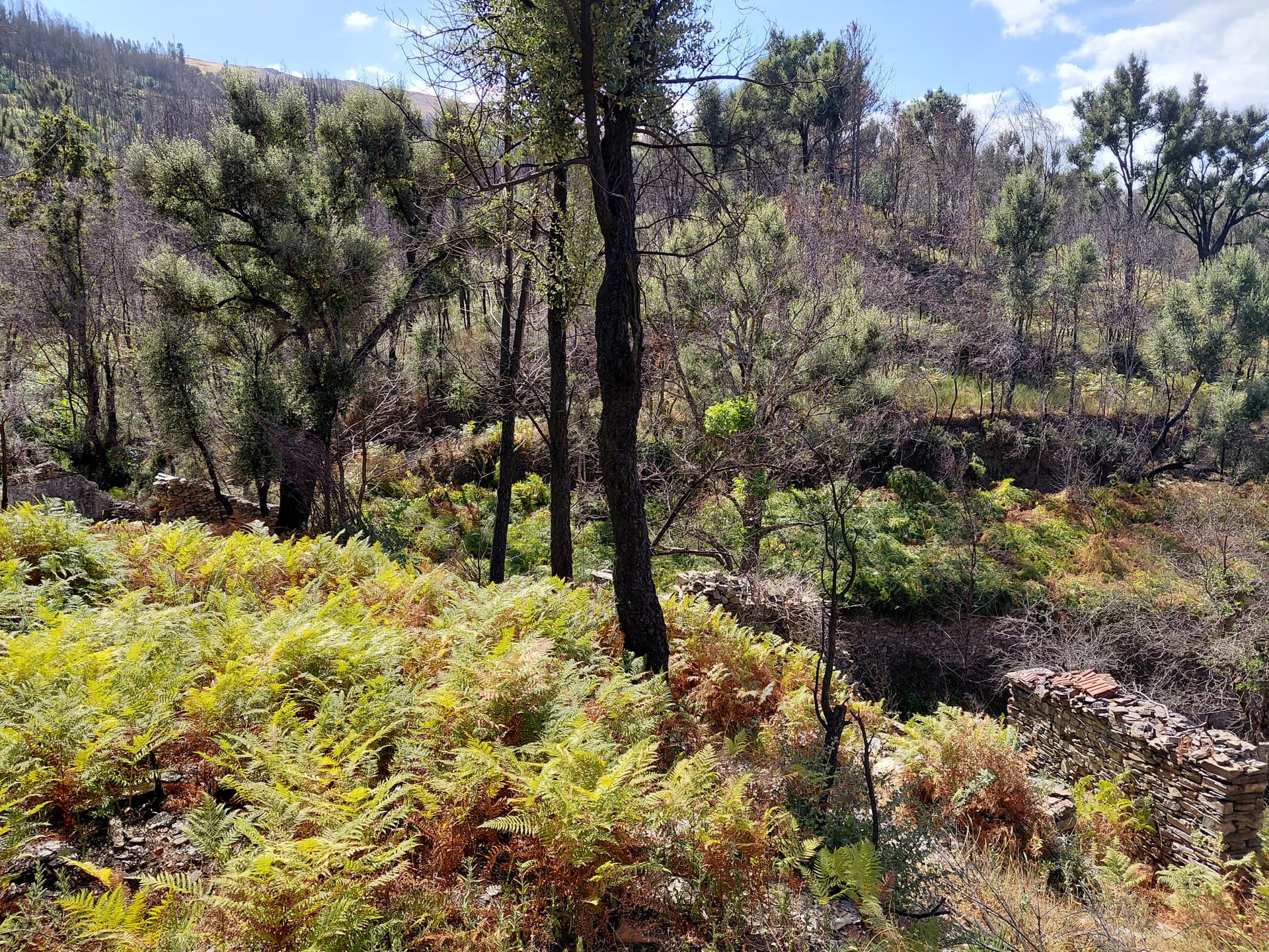 Casa4 - 20250828_151959