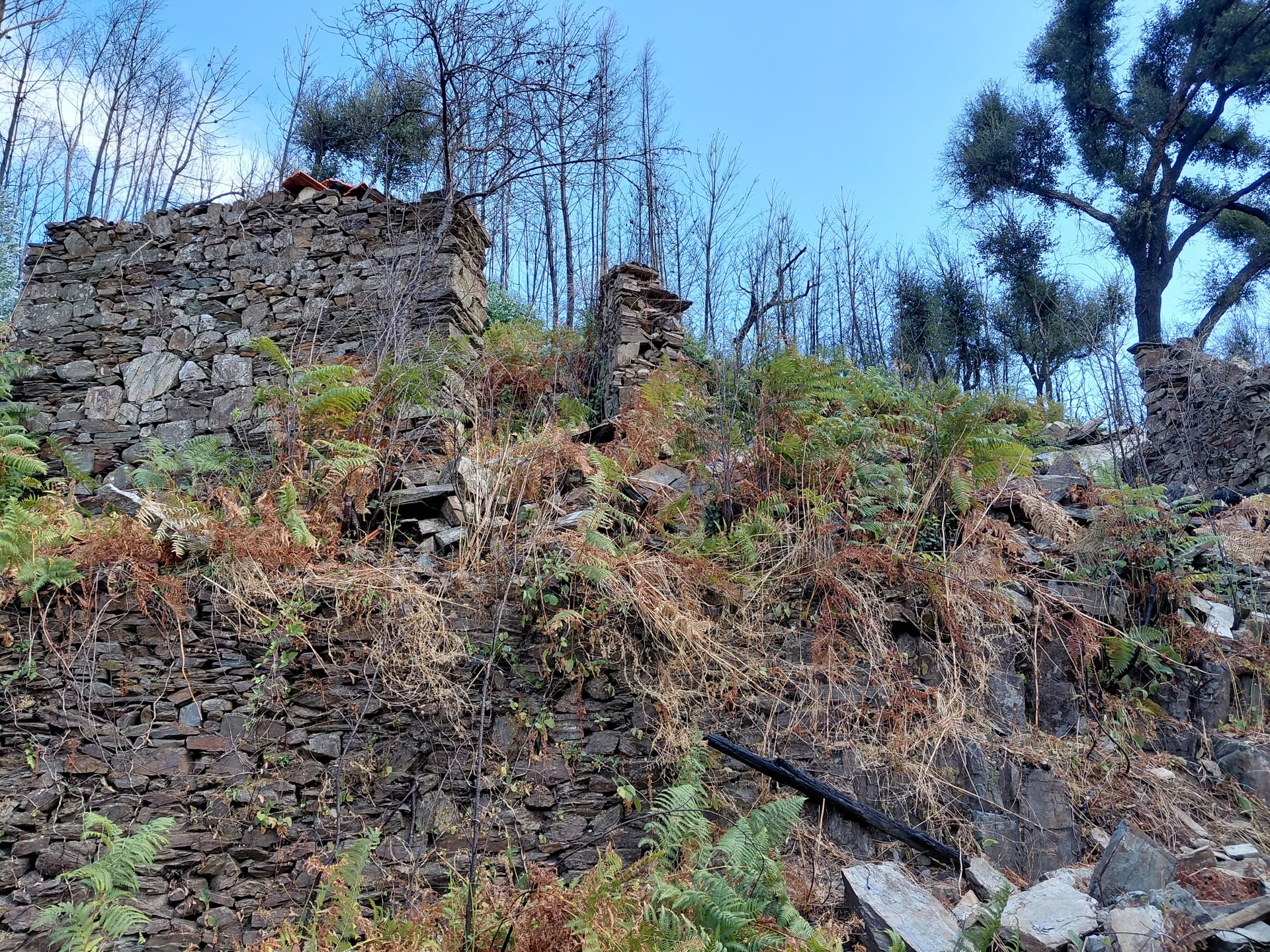 Casa4 - 20250828_153612