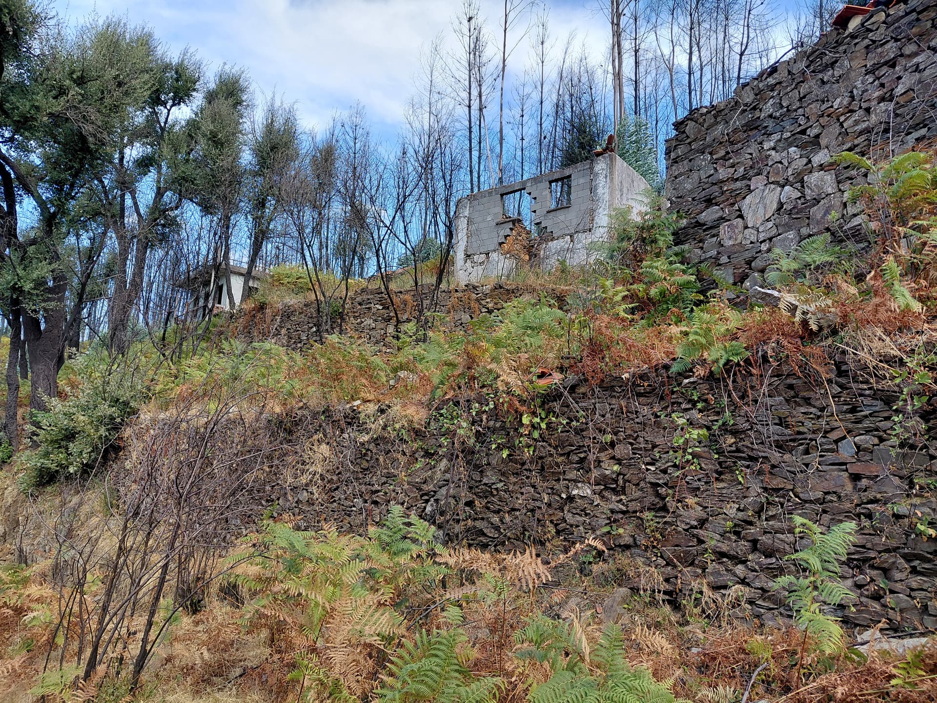 Casa4 - 20250828_153616