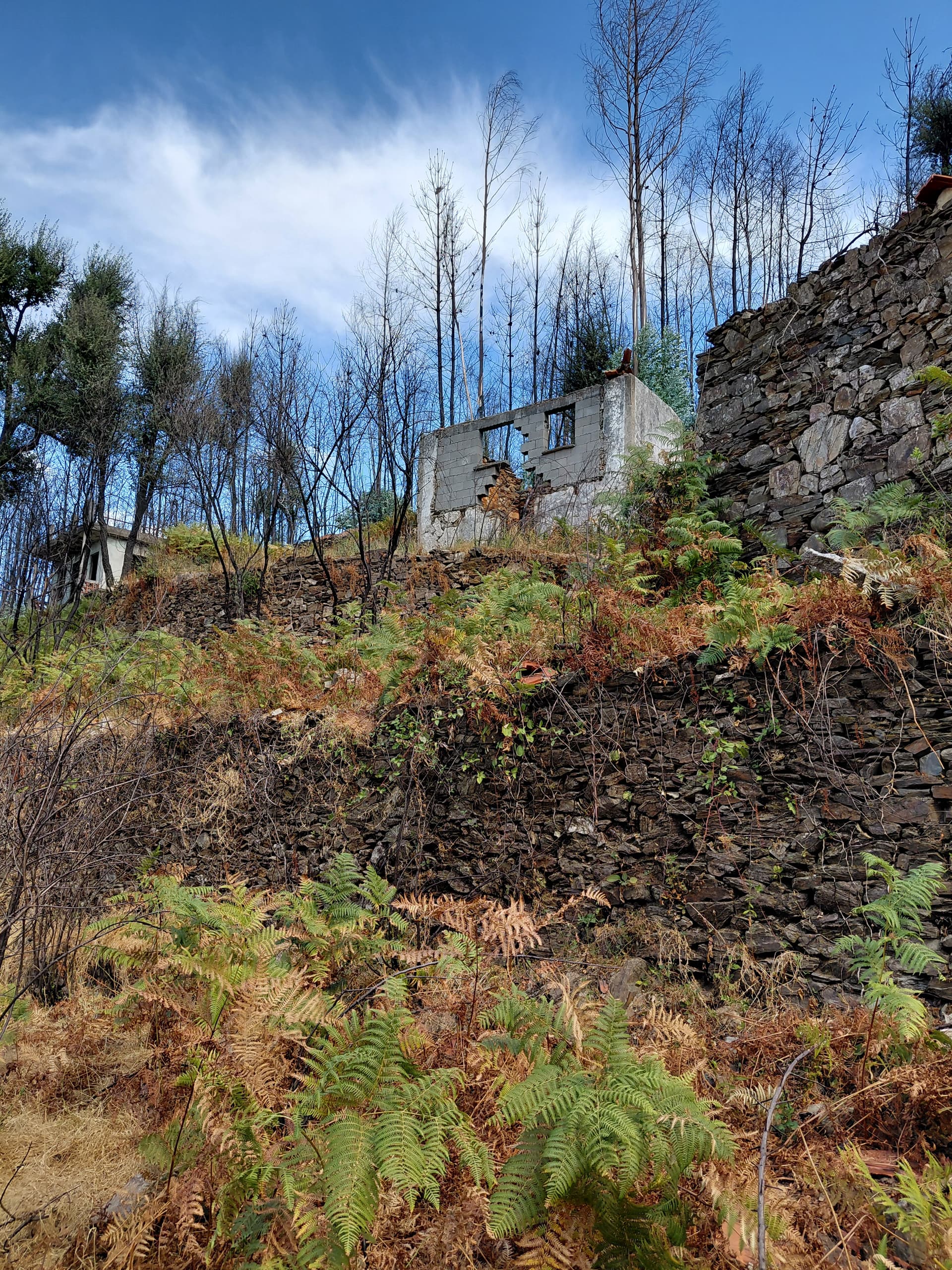 Casa4 - 20250828_153619