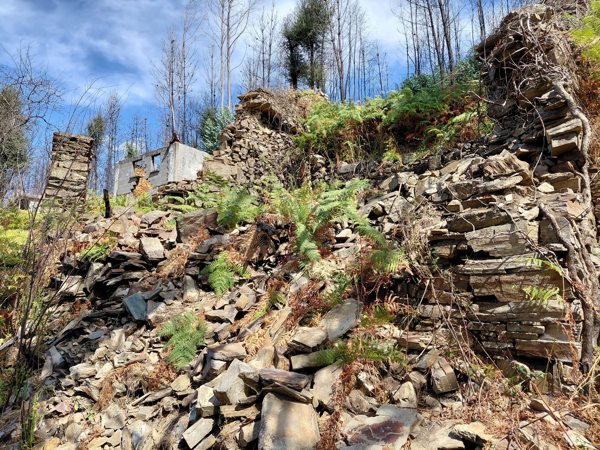 Casa4 - 20250828_153721