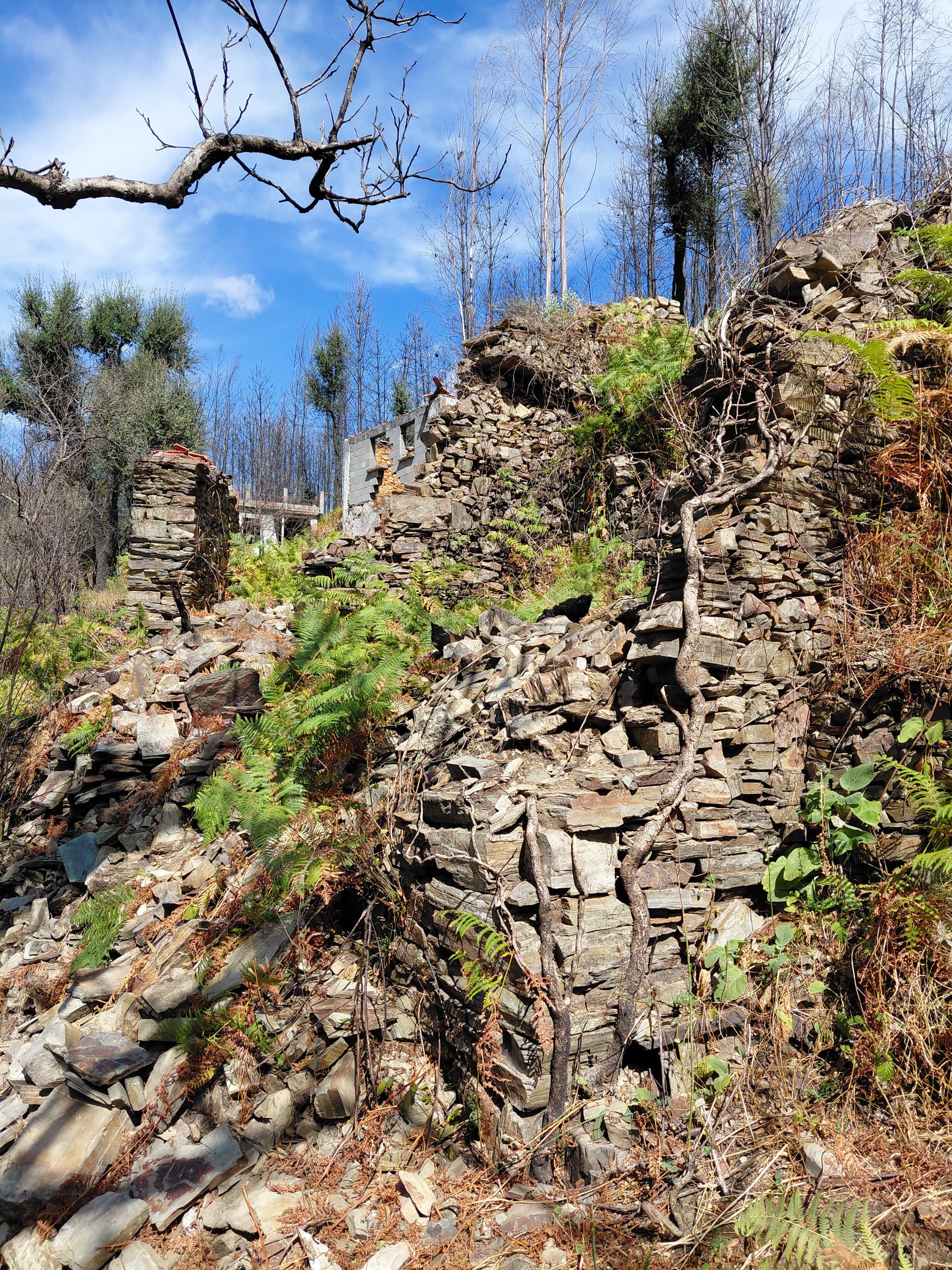 Casa4 - 20250828_153754