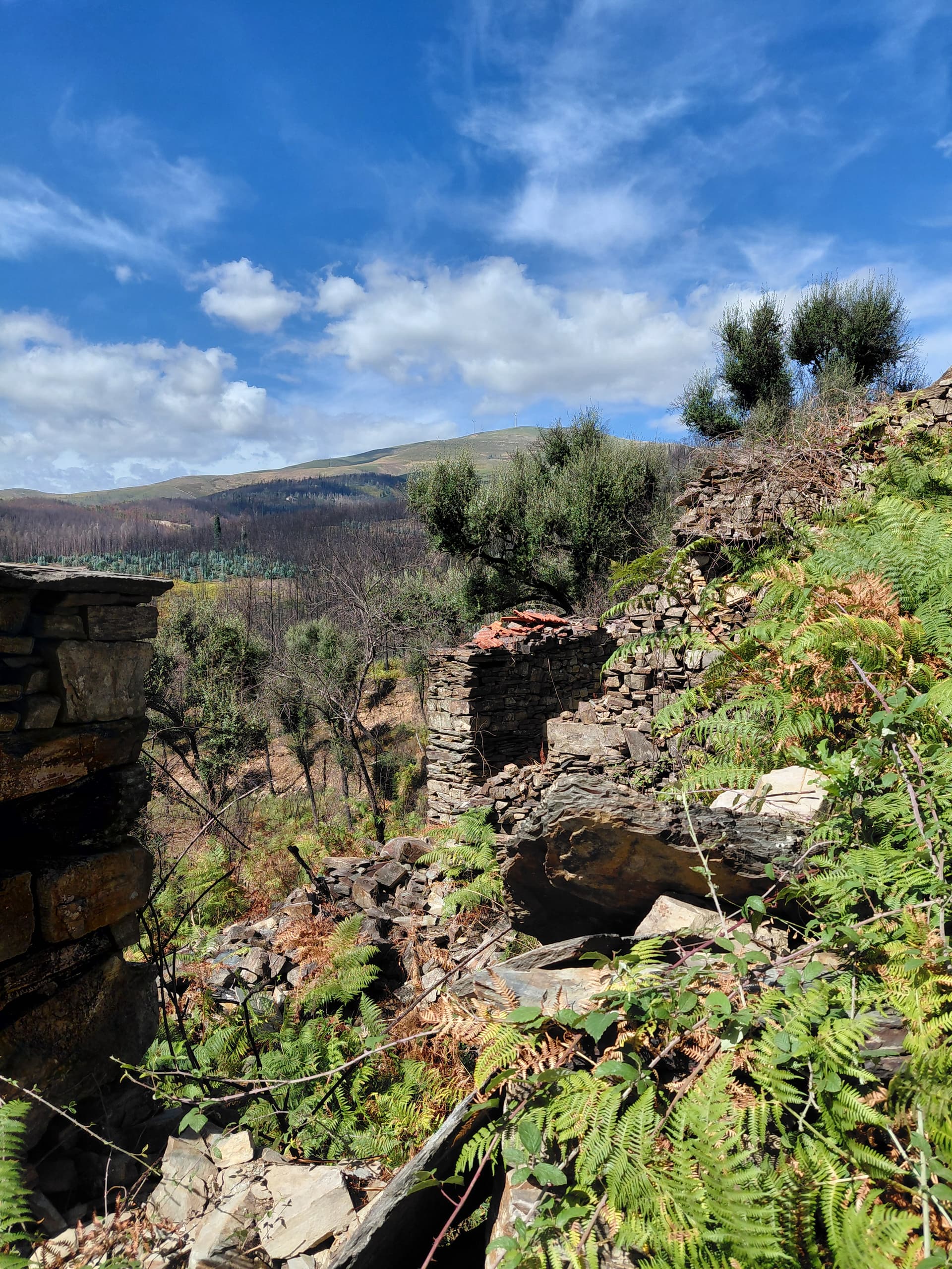 Casa4 - 20250828_160026