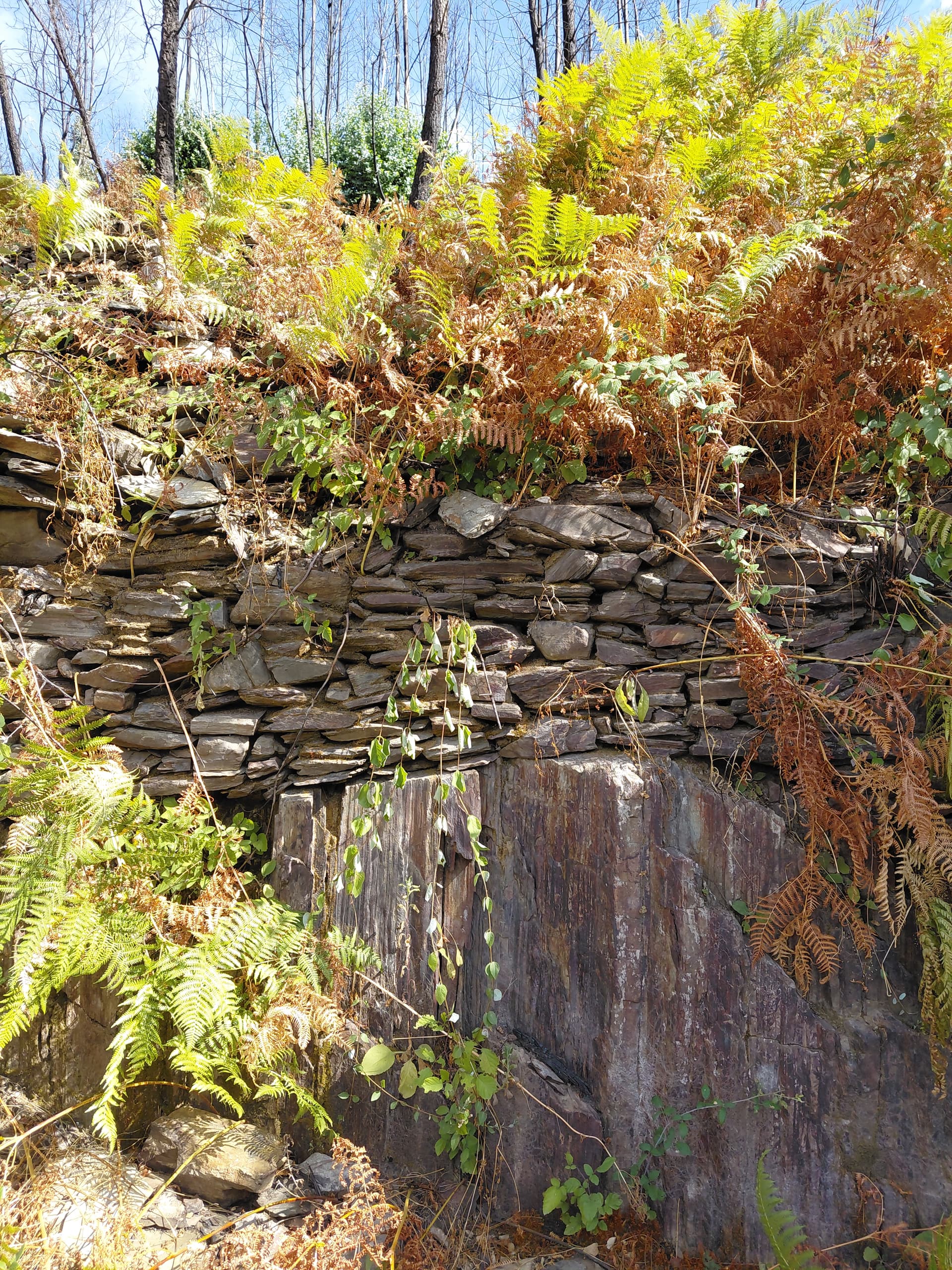 Casa4 - 20250828_161032