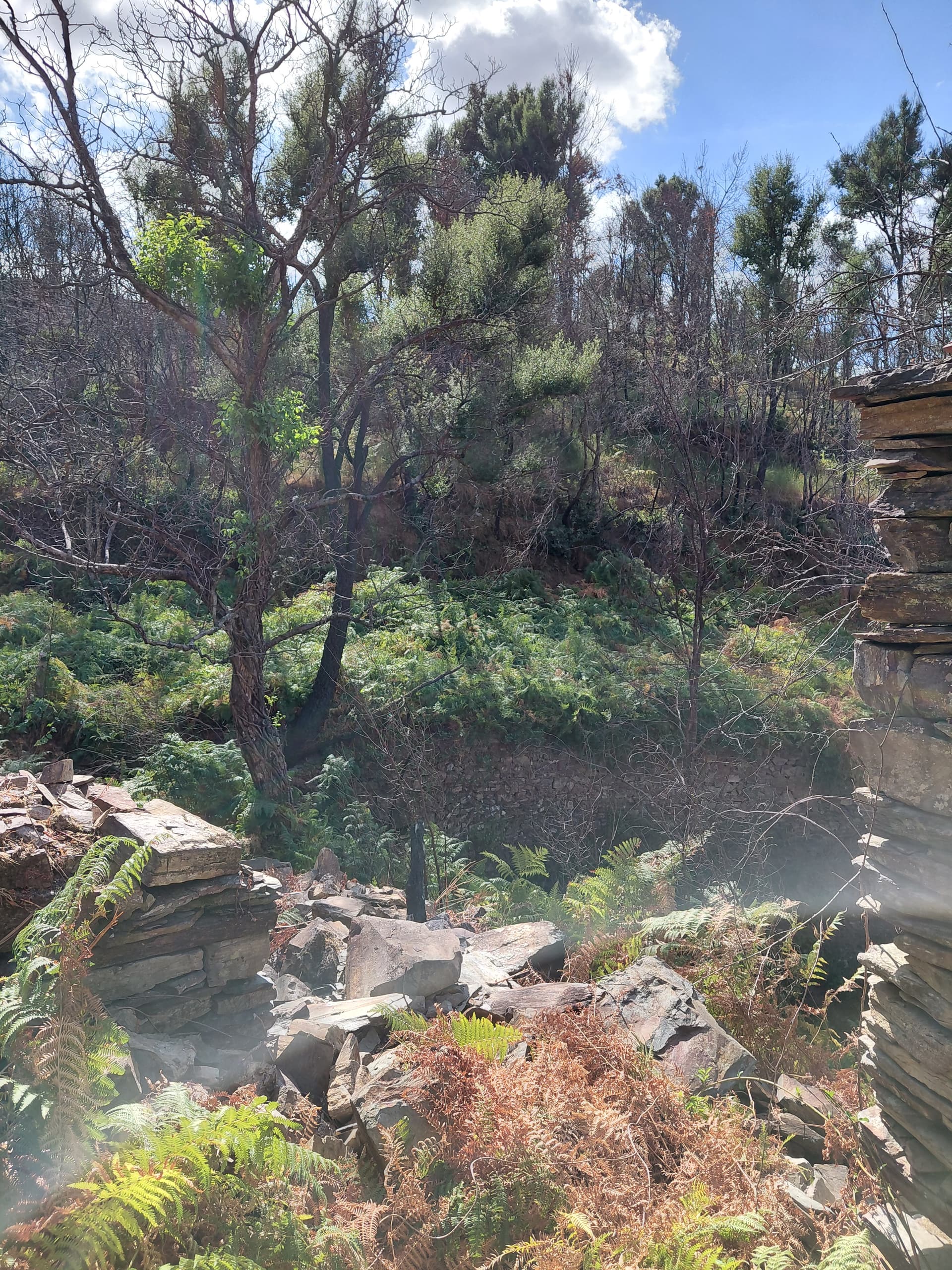 Casa4 - 20250828_161049