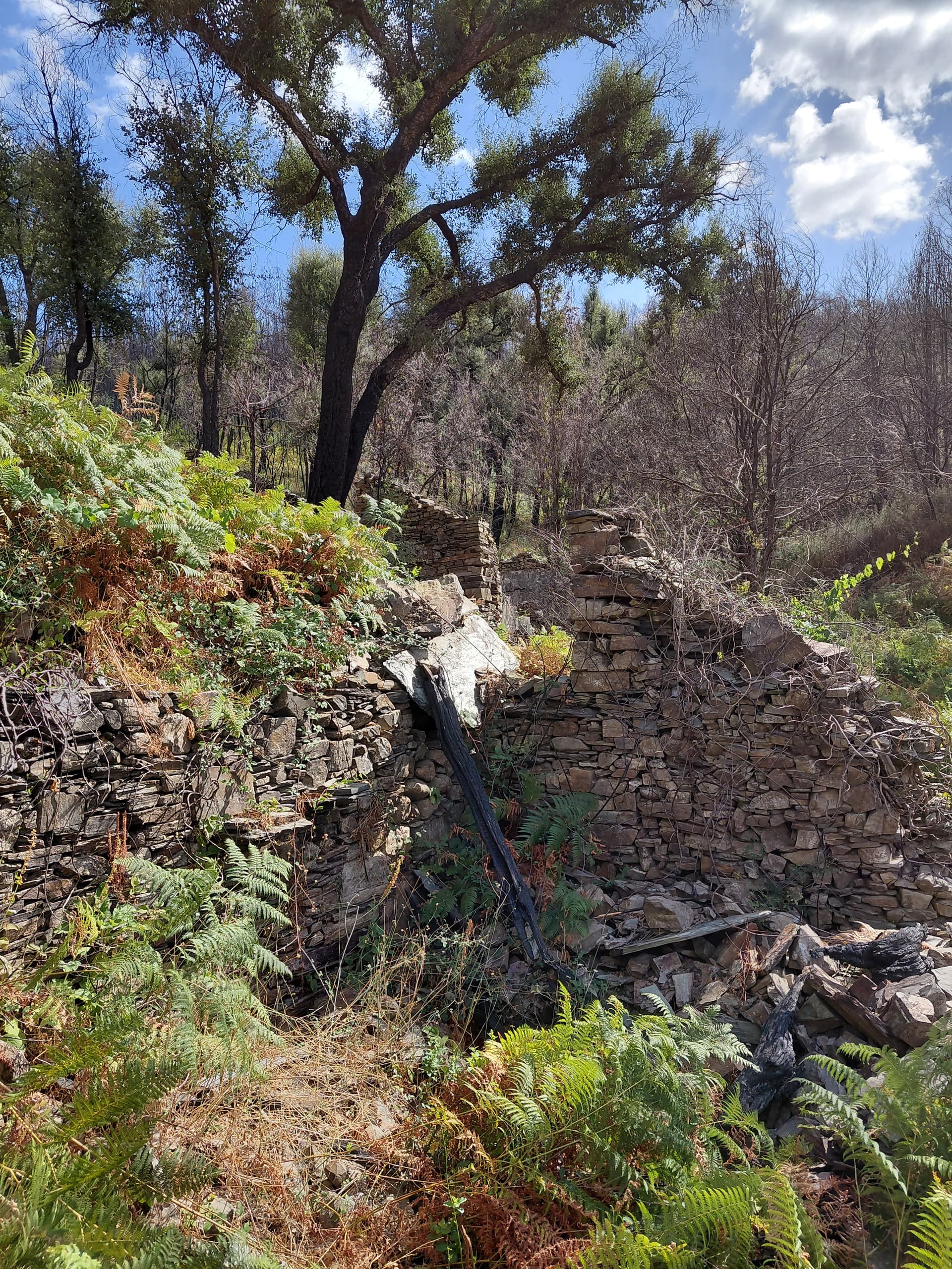 Casa4 - 20250828_161126