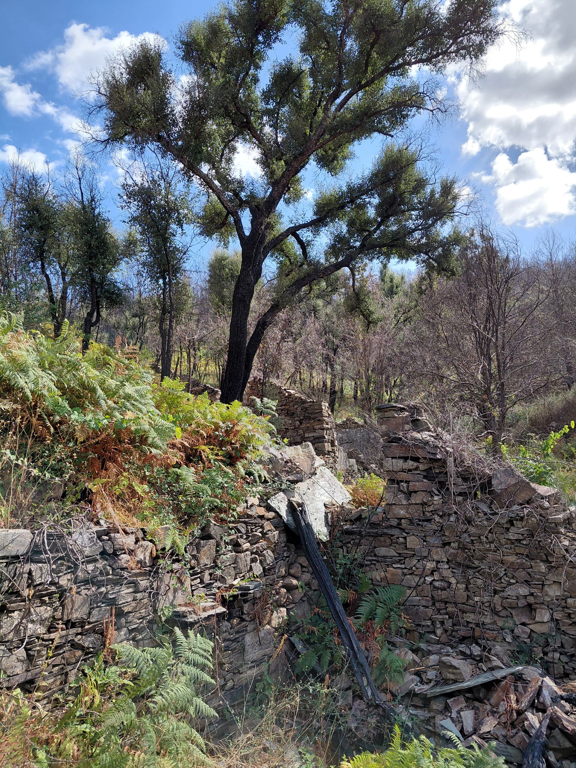 Casa4 - 20250828_161129