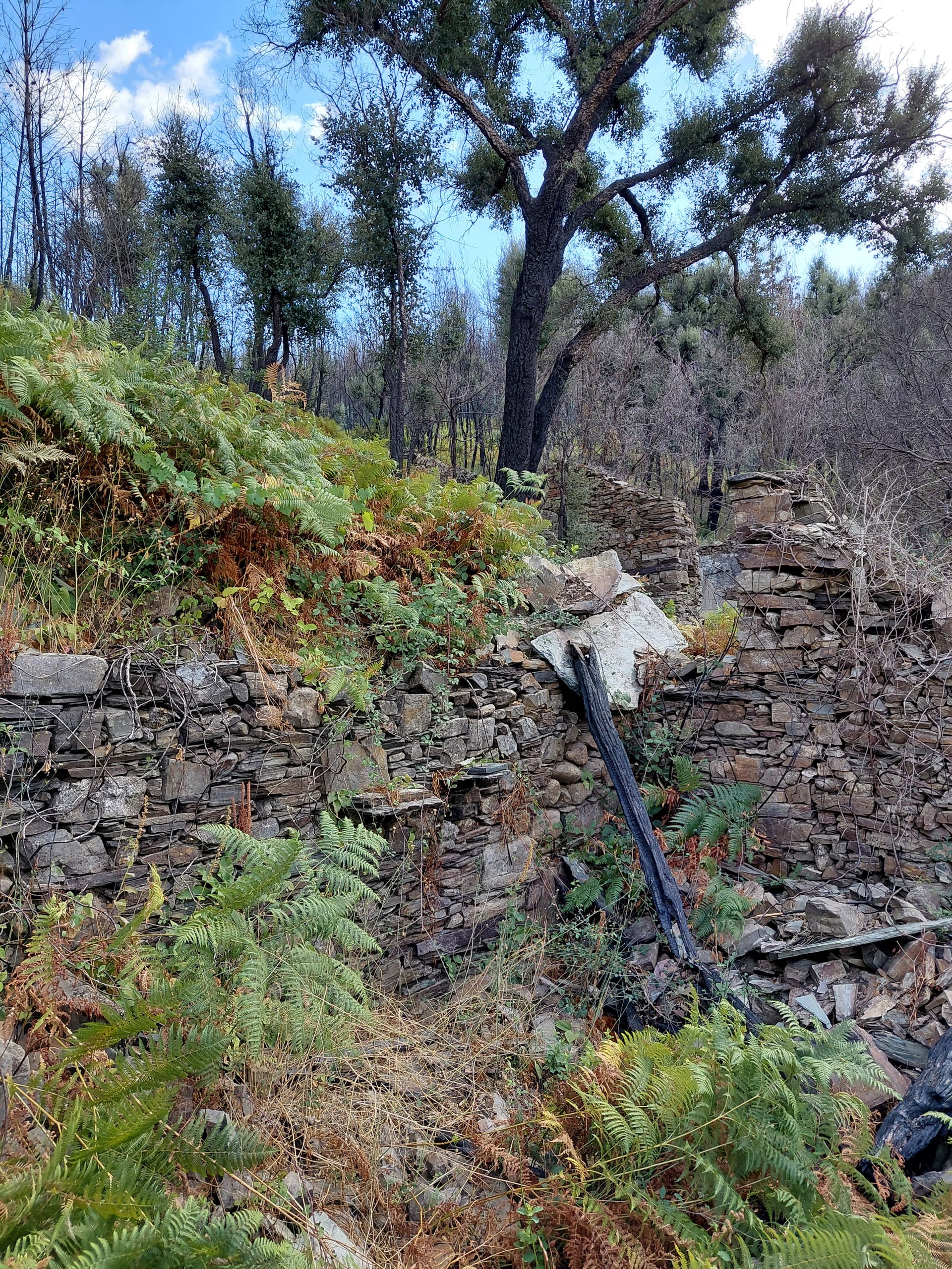 Casa4 - 20250828_161305