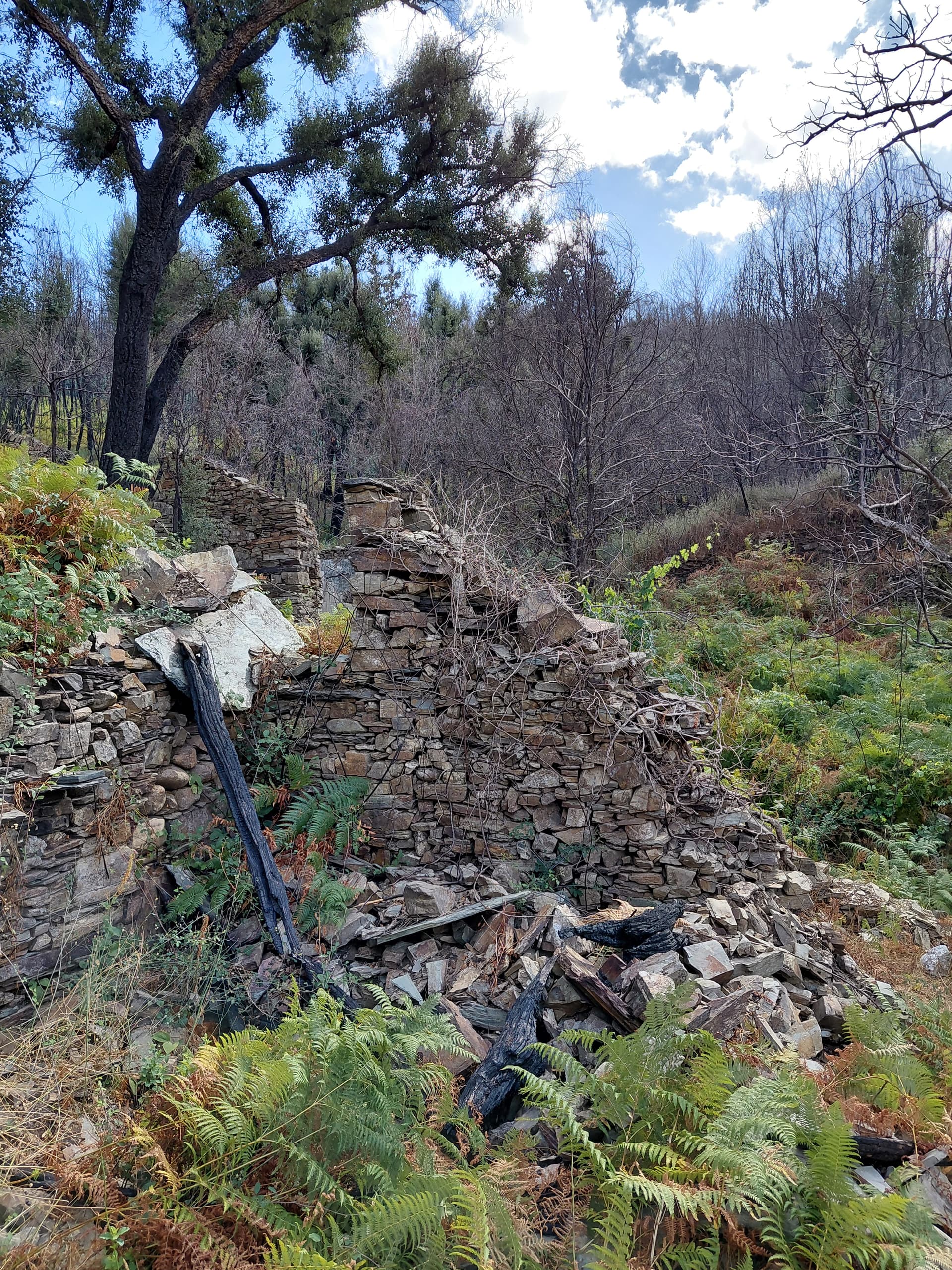 Casa4 - 20250828_161308