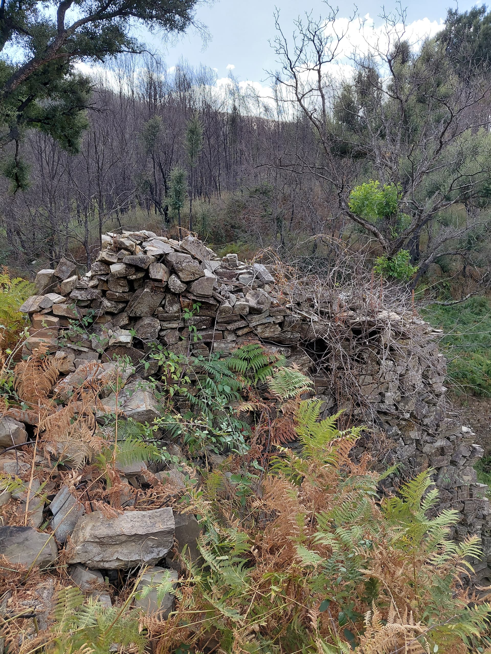 Casa4 - 20250828_162752