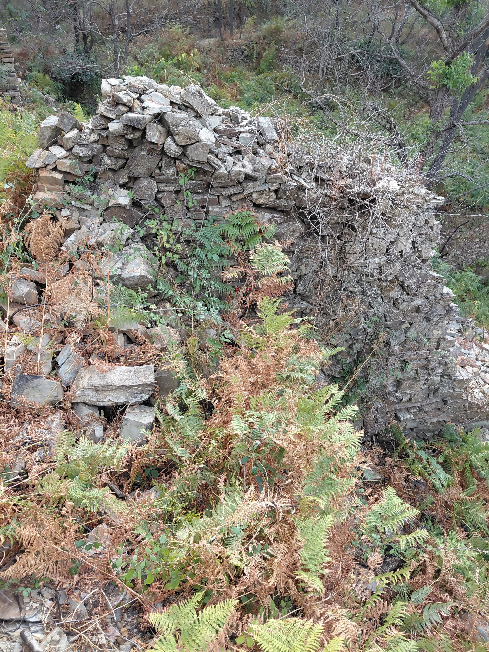 Casa4 - 20250828_162756