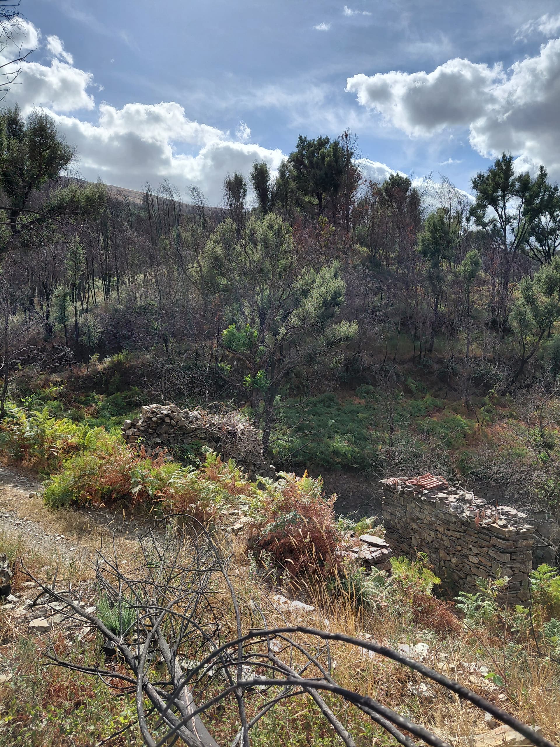 Casa4 - 20250828_163522