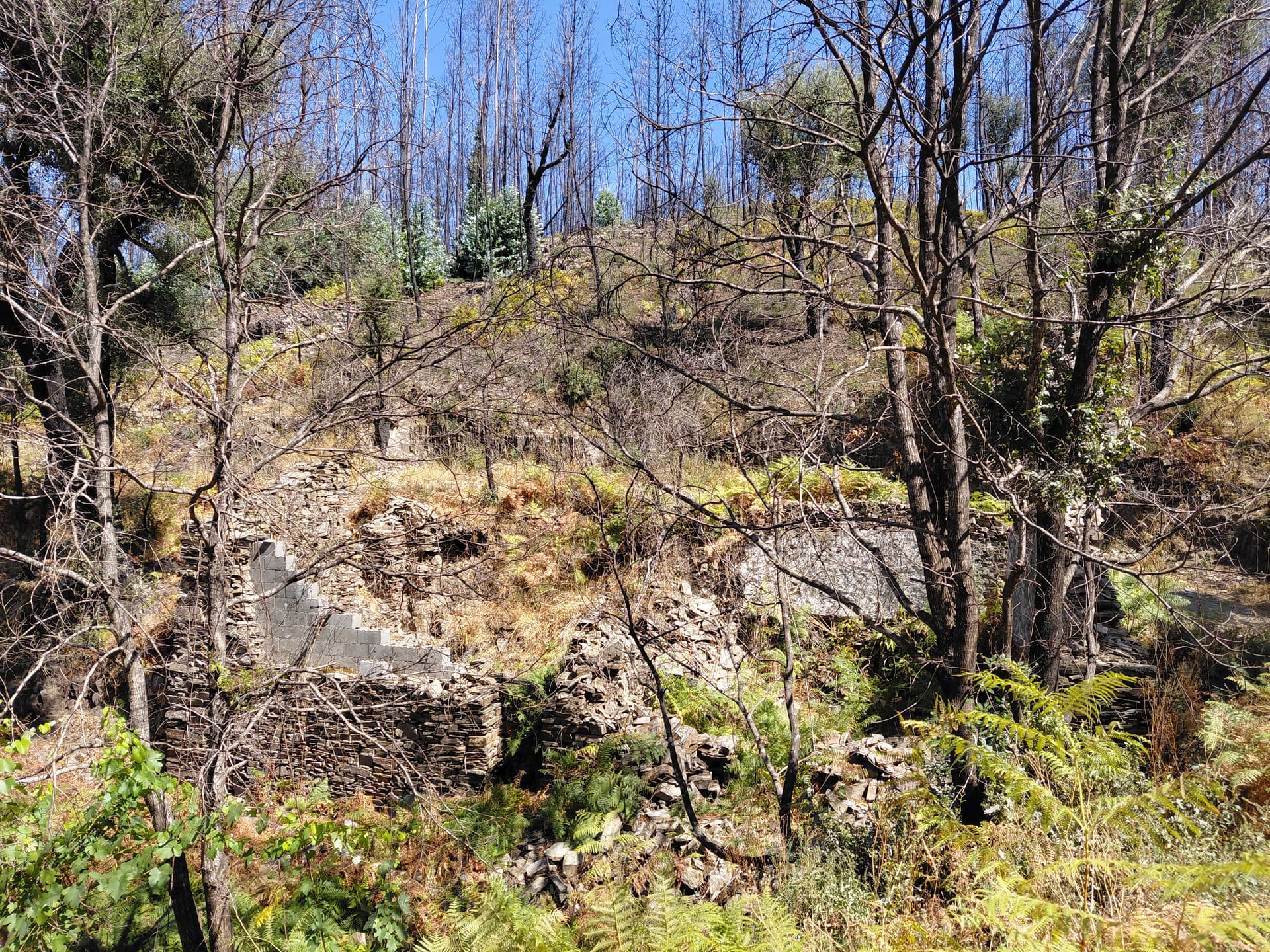 Casa5 - 20250828_150542