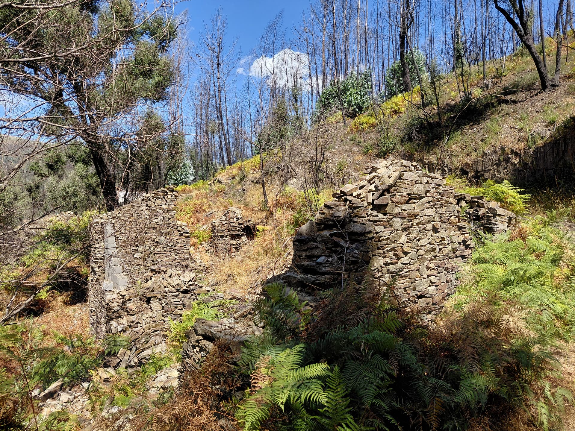 Casa5 - 20250828_150638