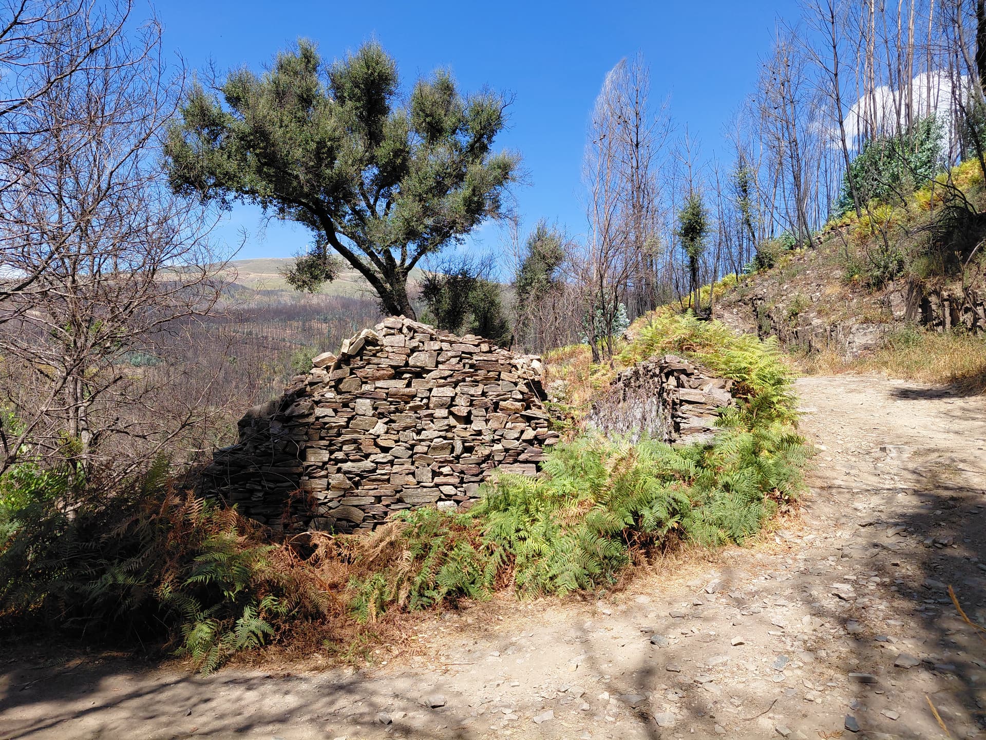 Casa5 - 20250828_150657