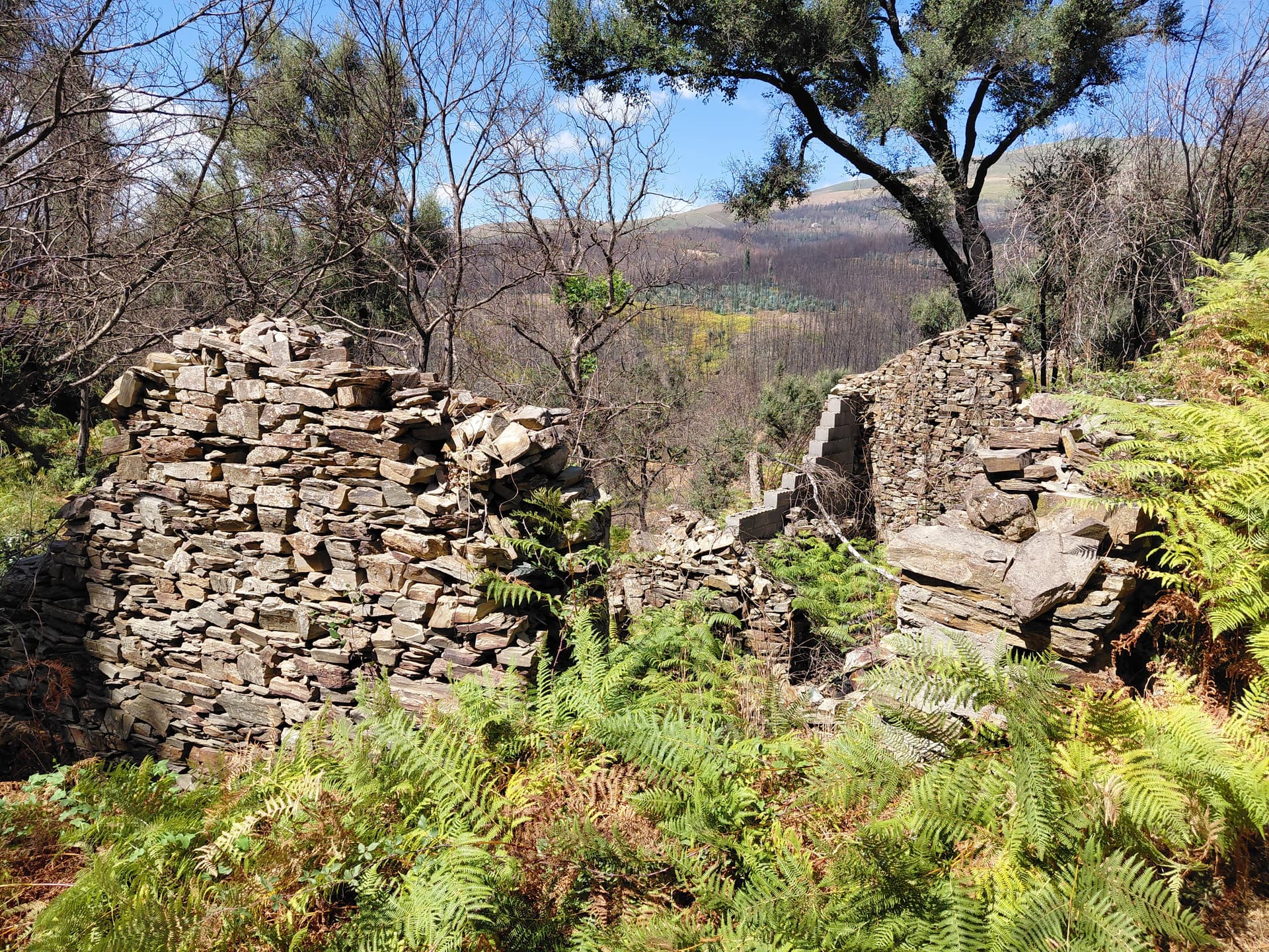 Casa5 - 20250828_150717