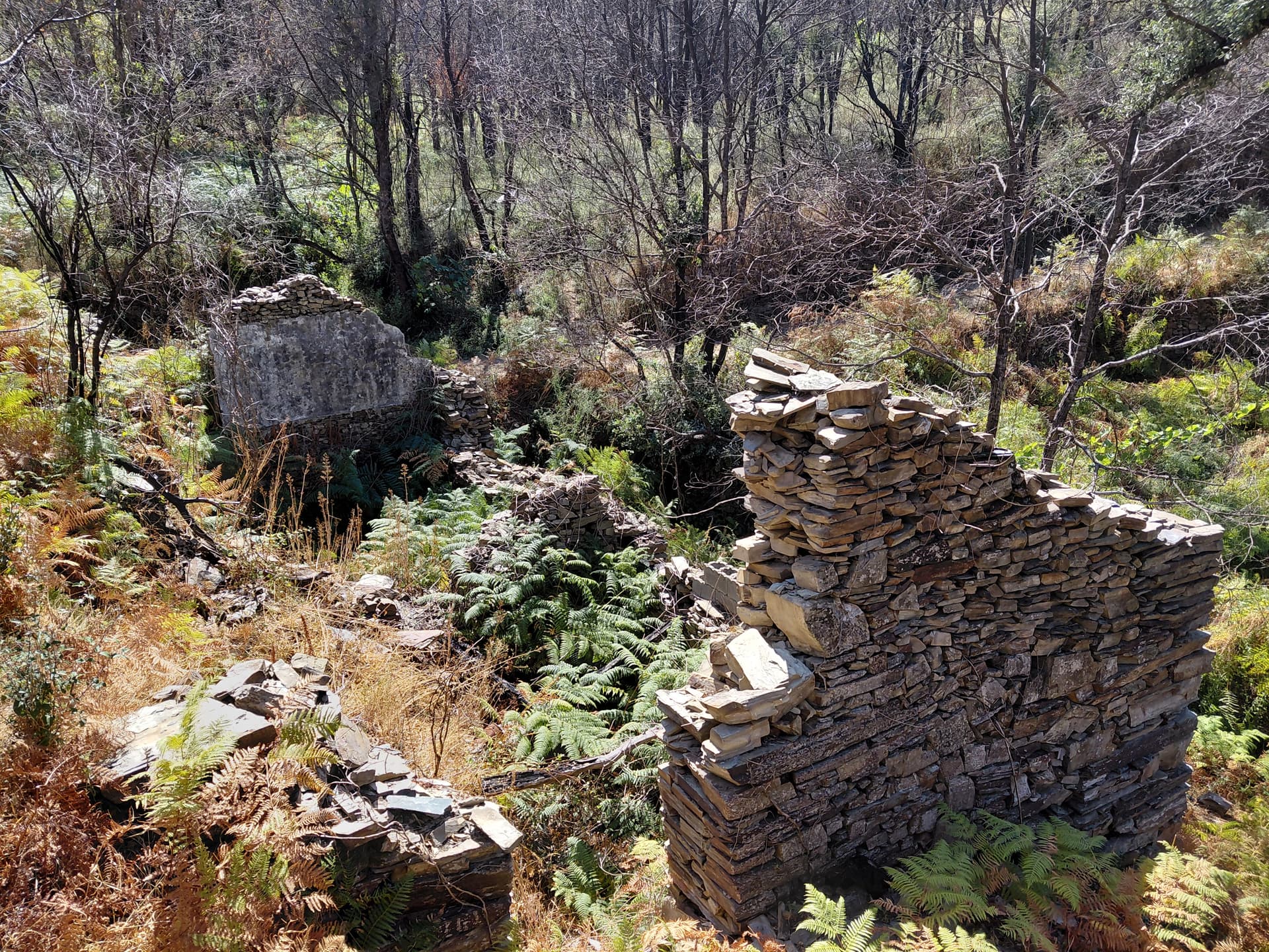 Casa5 - 20250828_150752