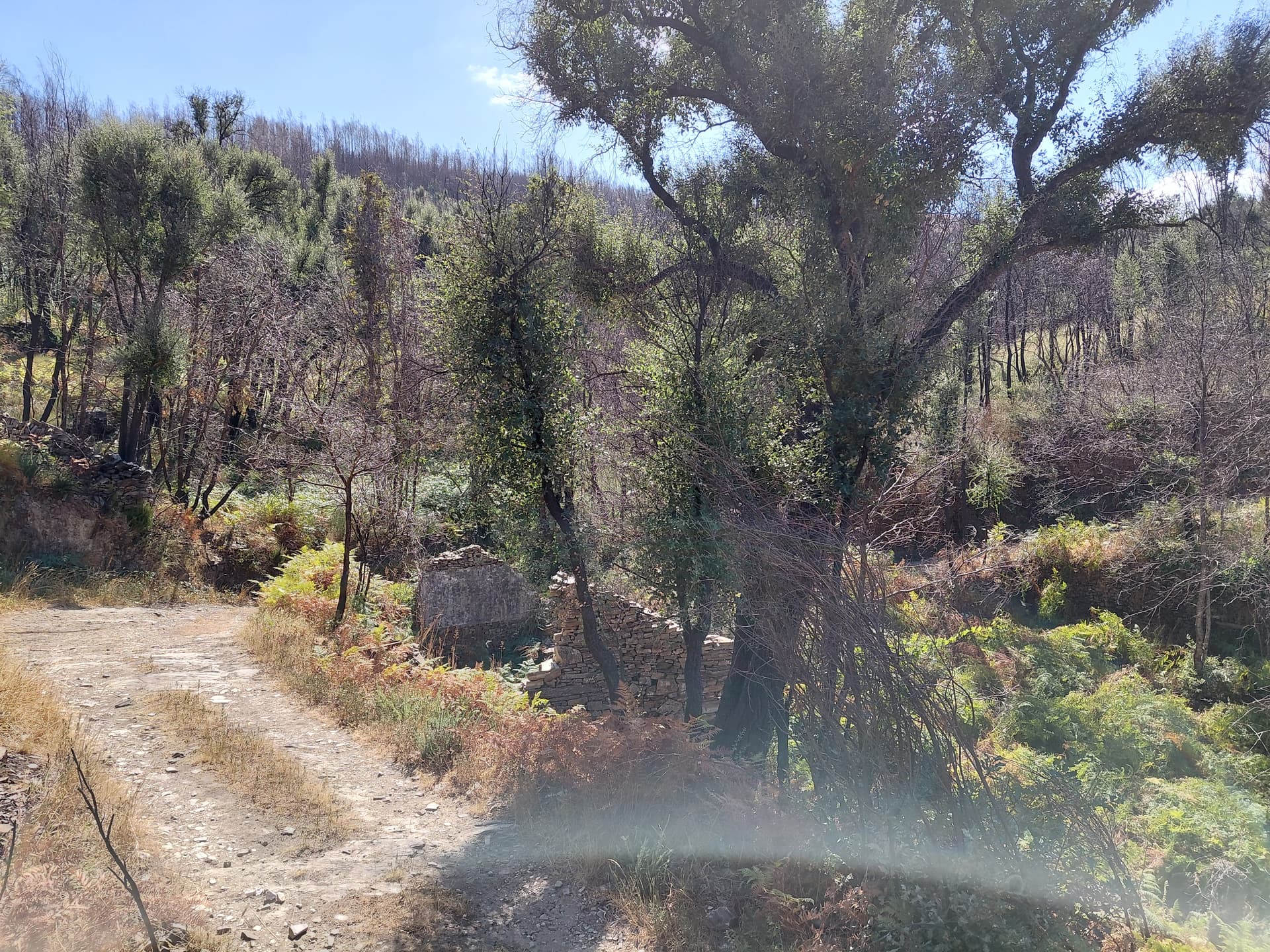 Casa5 - 20250828_151323