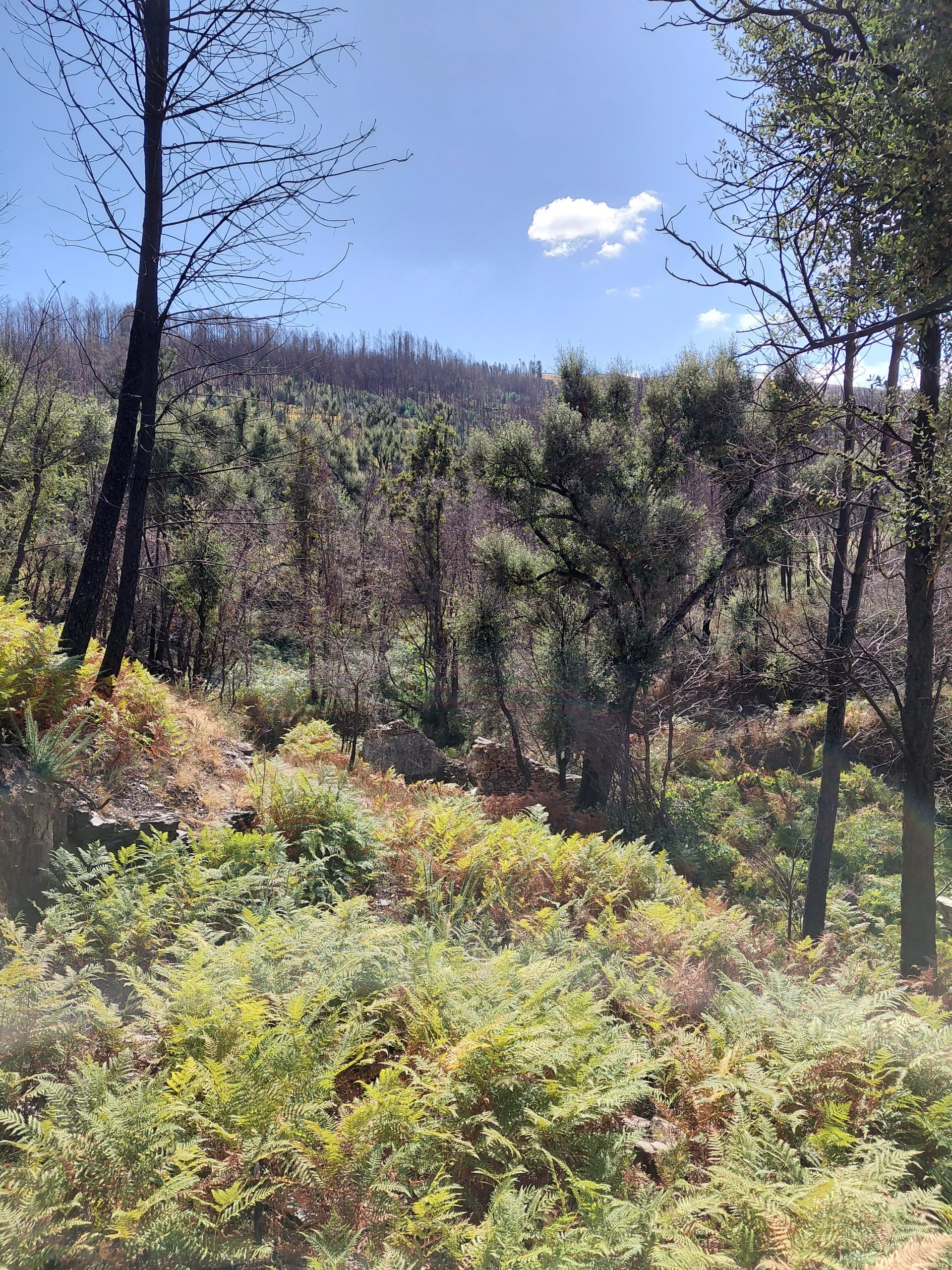 Casa5 - 20250828_151943