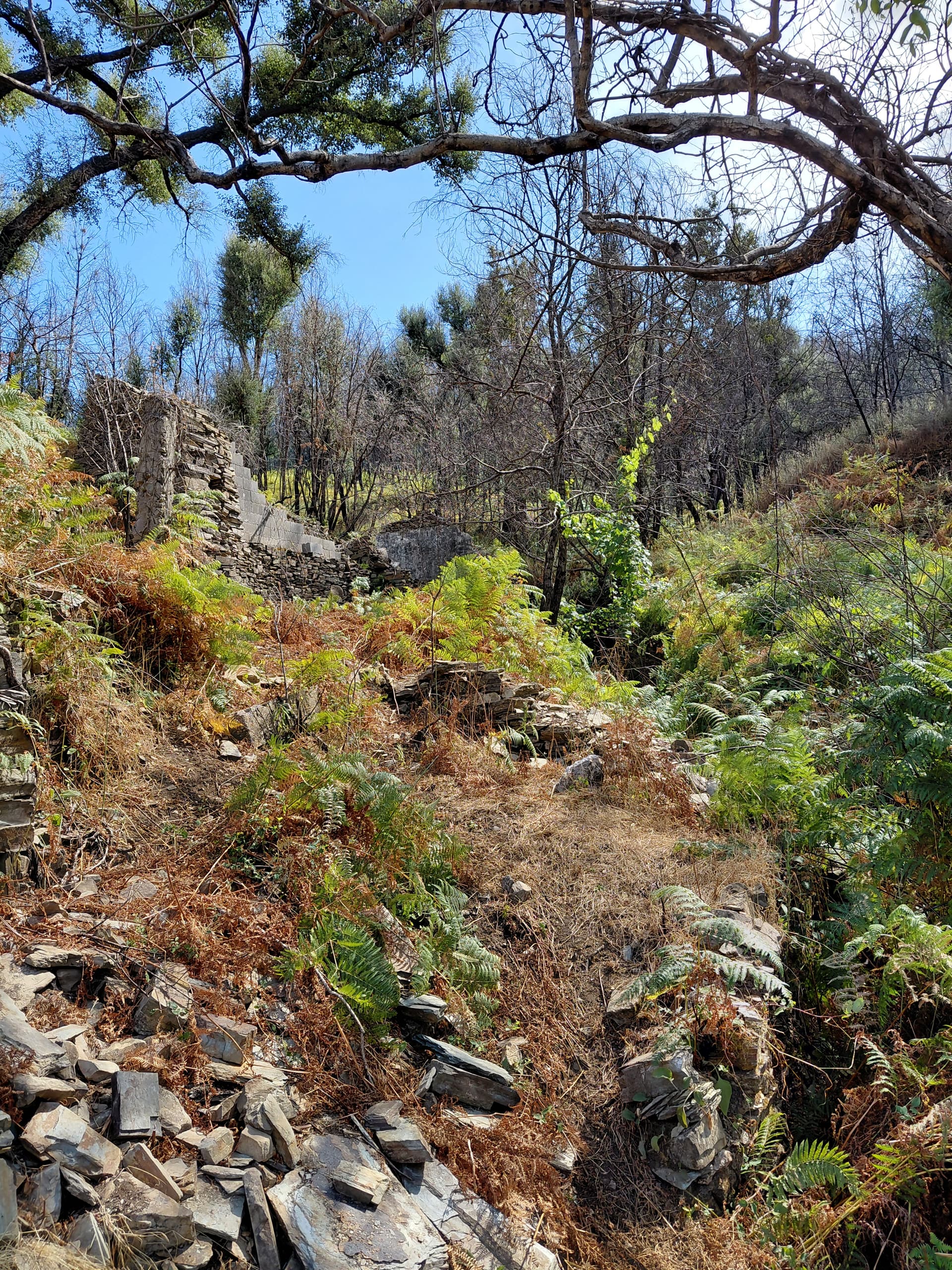 Casa5 - 20250828_153657