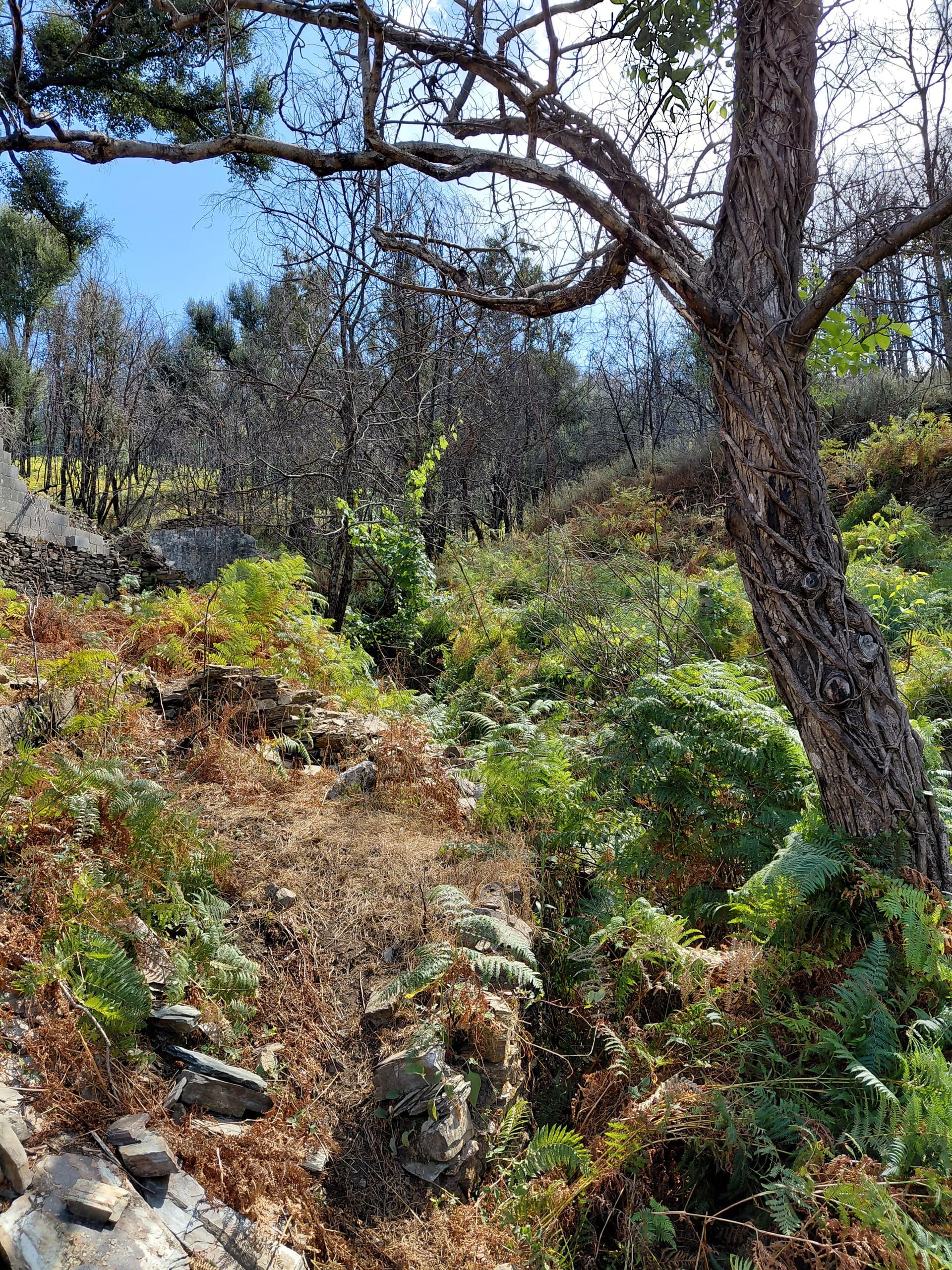 Casa5 - 20250828_153659