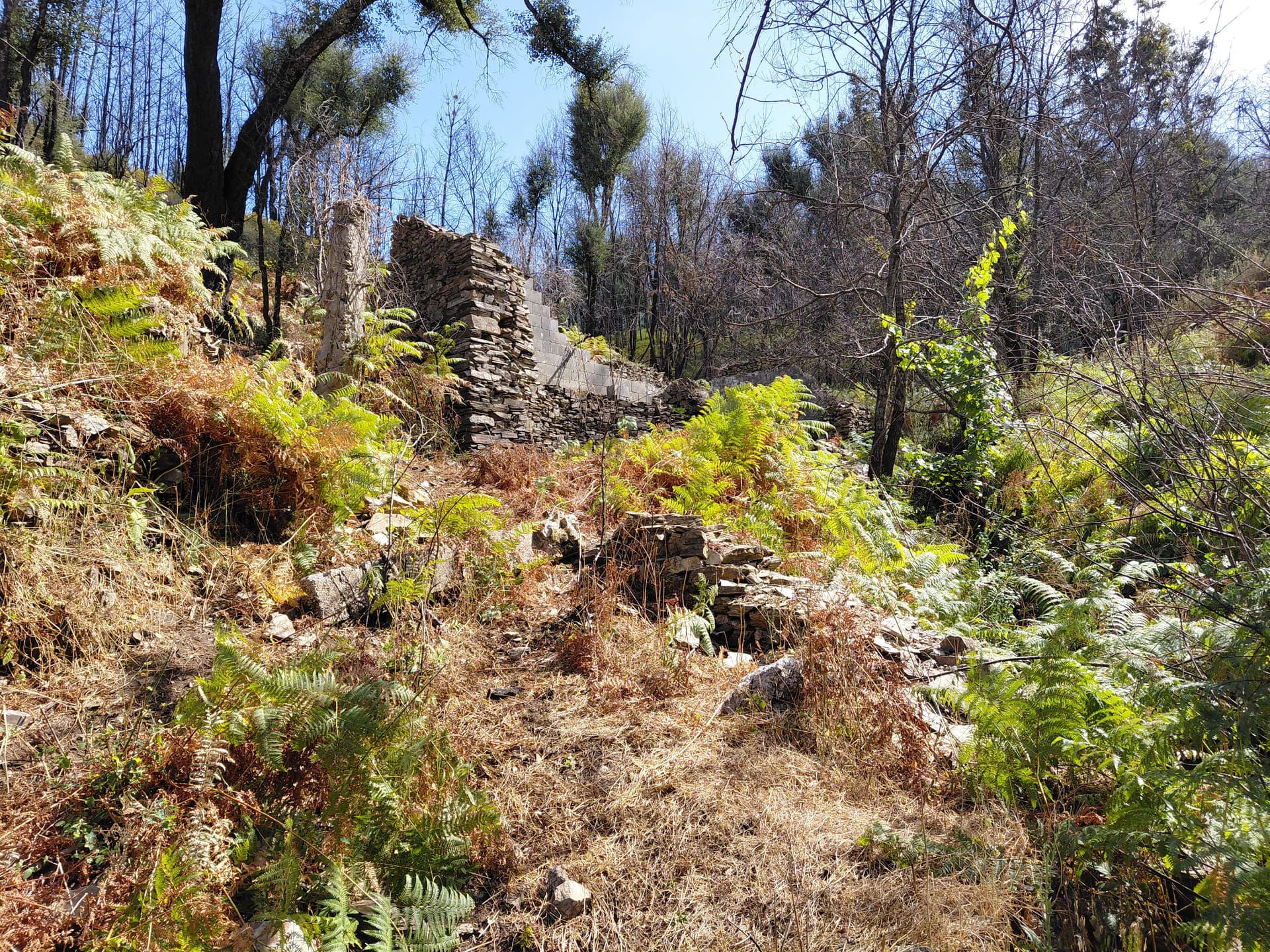 Casa5 - 20250828_153713