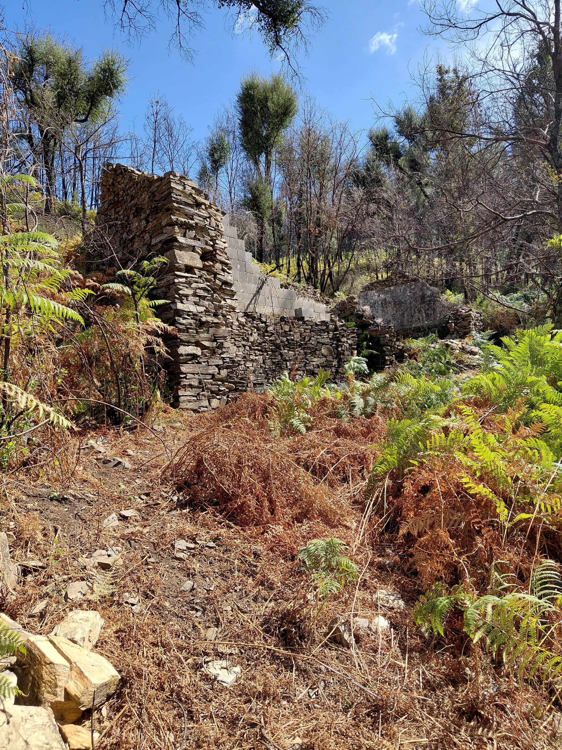 Casa5 - 20250828_153805