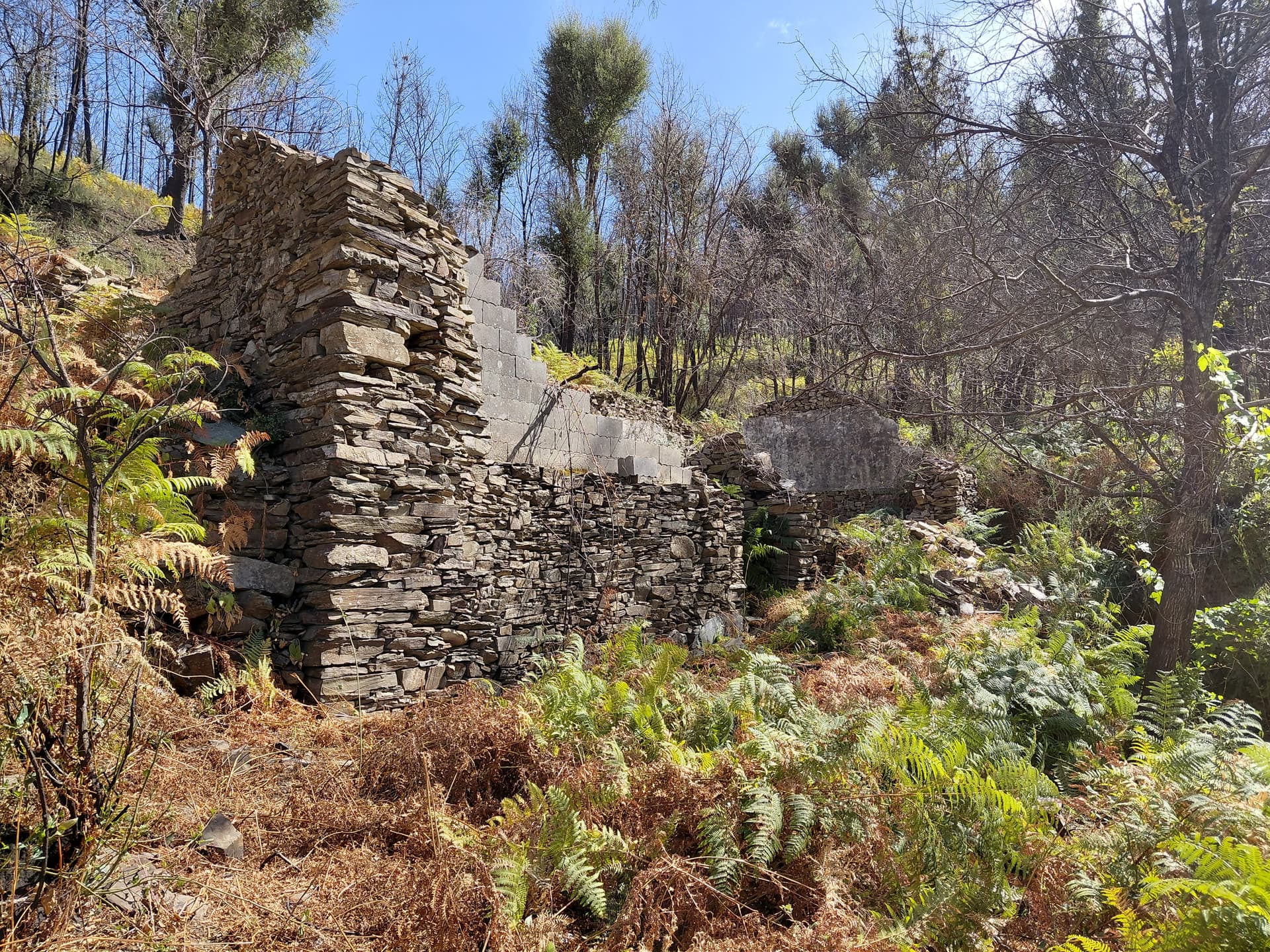 Casa5 - 20250828_153817