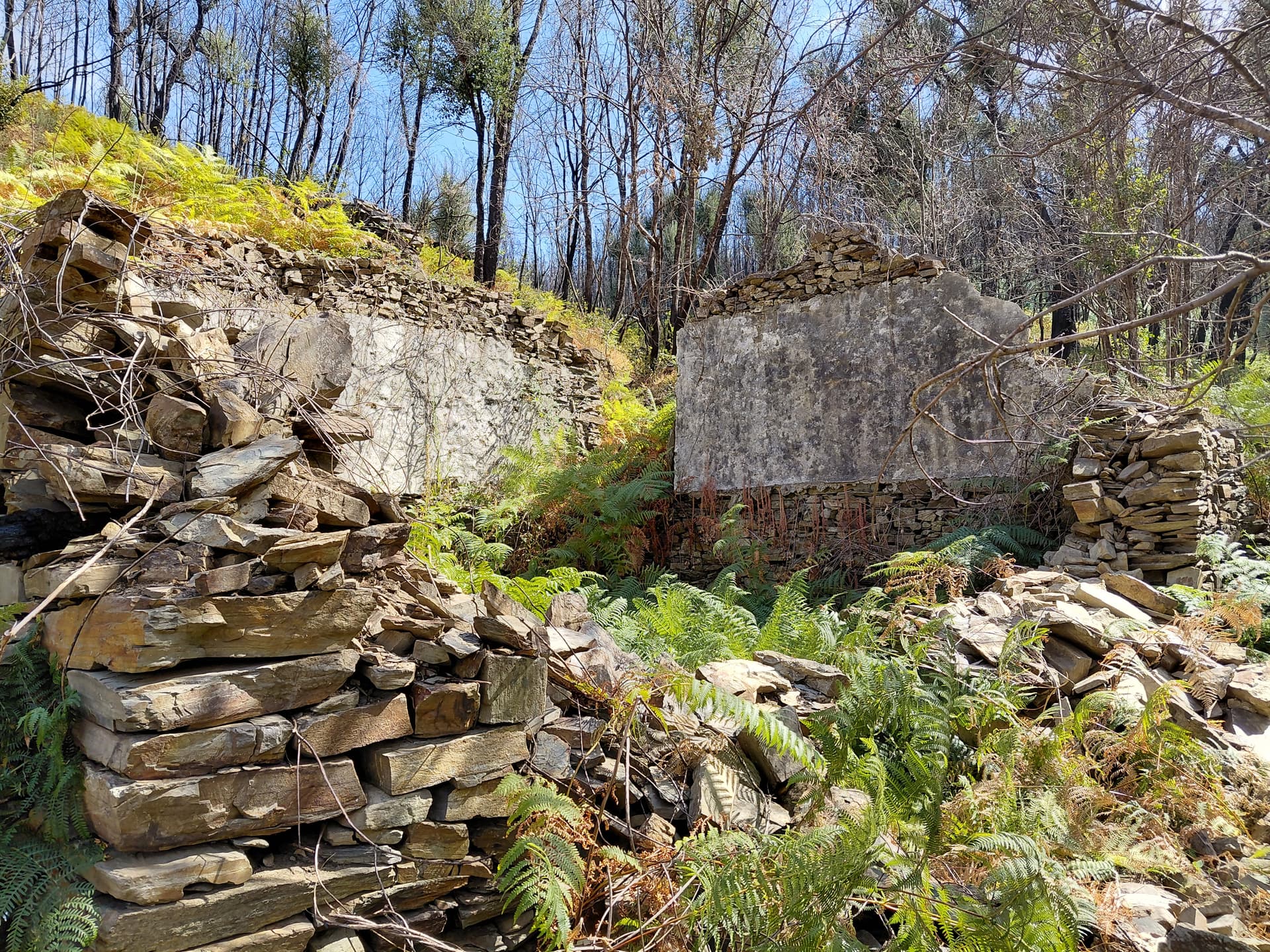 Casa5 - 20250828_153903