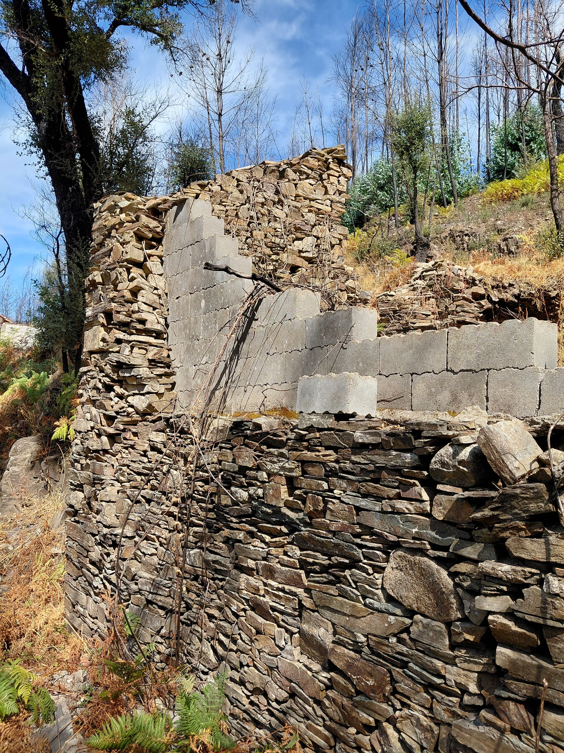 Casa5 - 20250828_153907