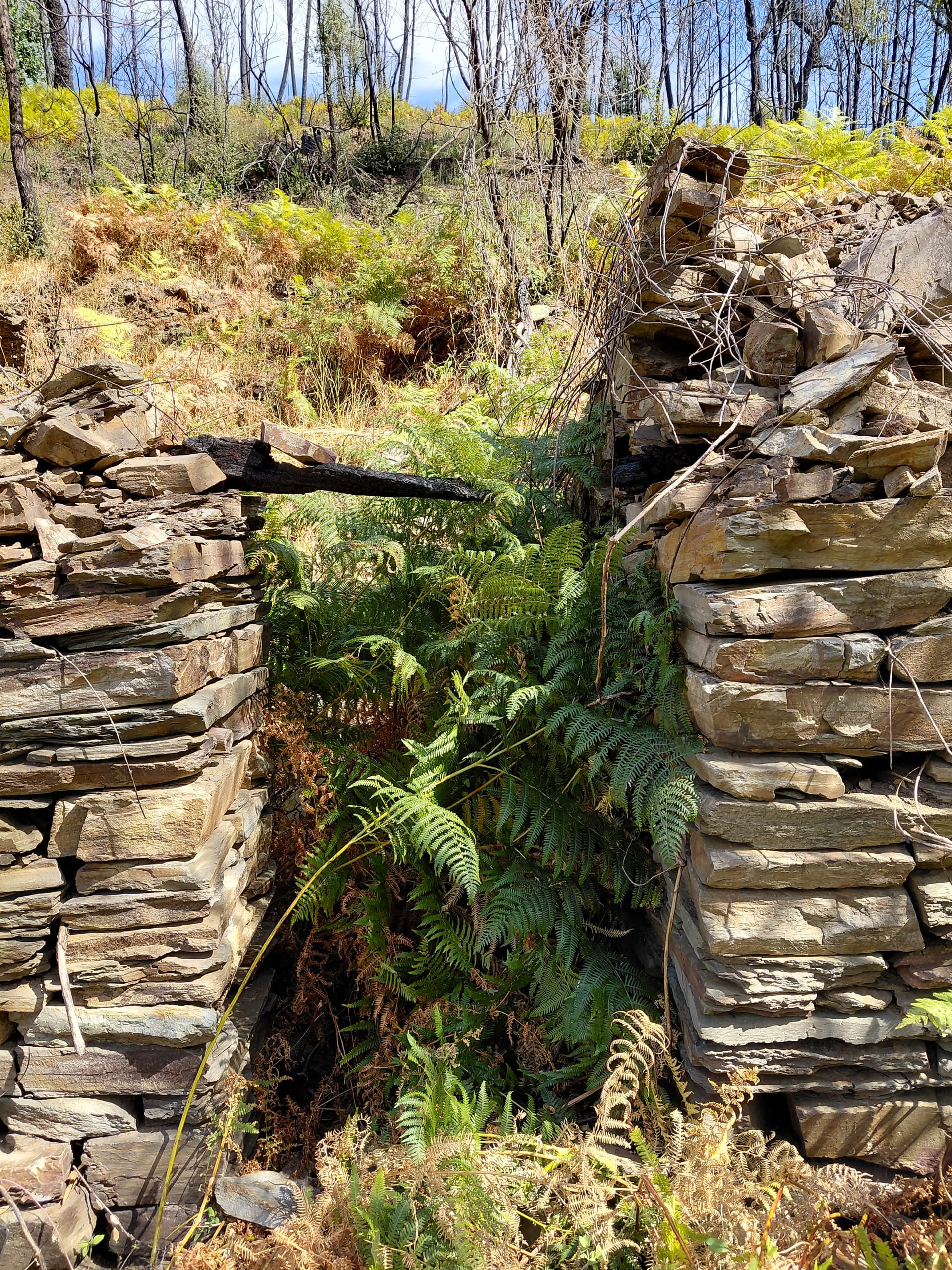 Casa5 - 20250828_153910