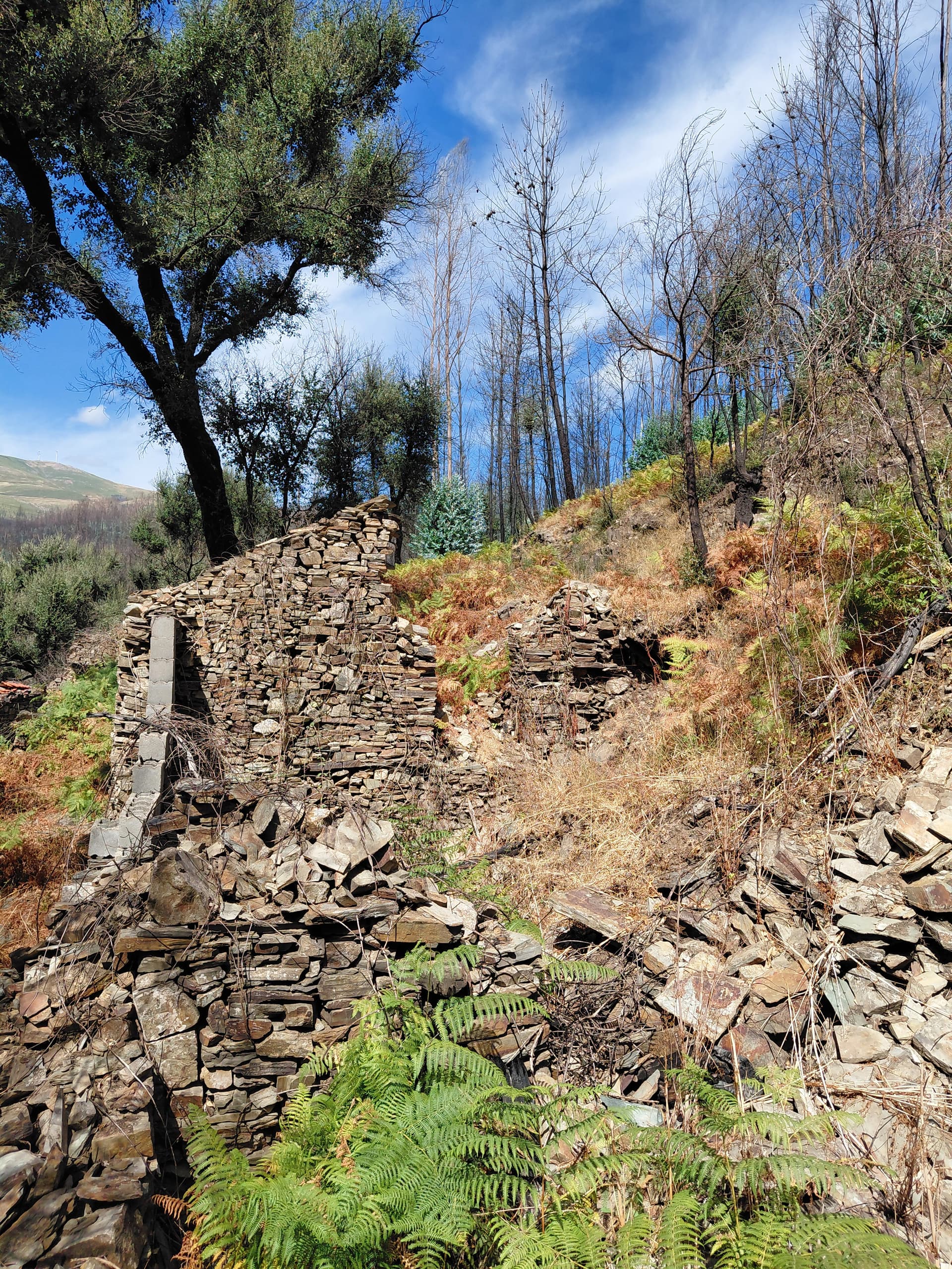 Casa5 - 20250828_153950