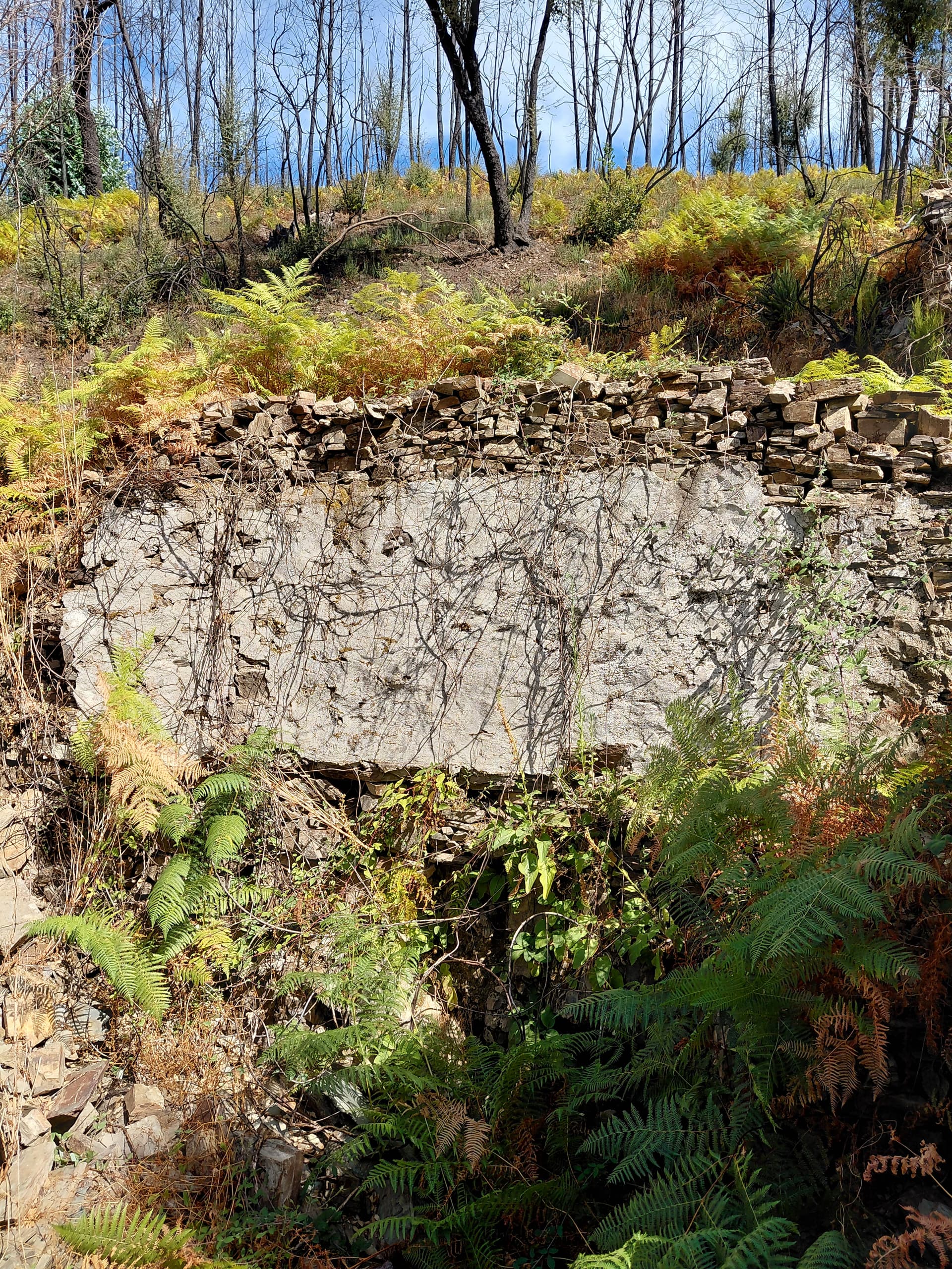 Casa5 - 20250828_153954