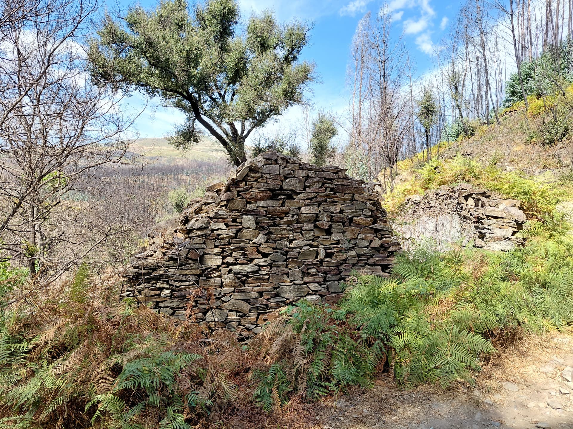 Casa5 - 20250828_154509