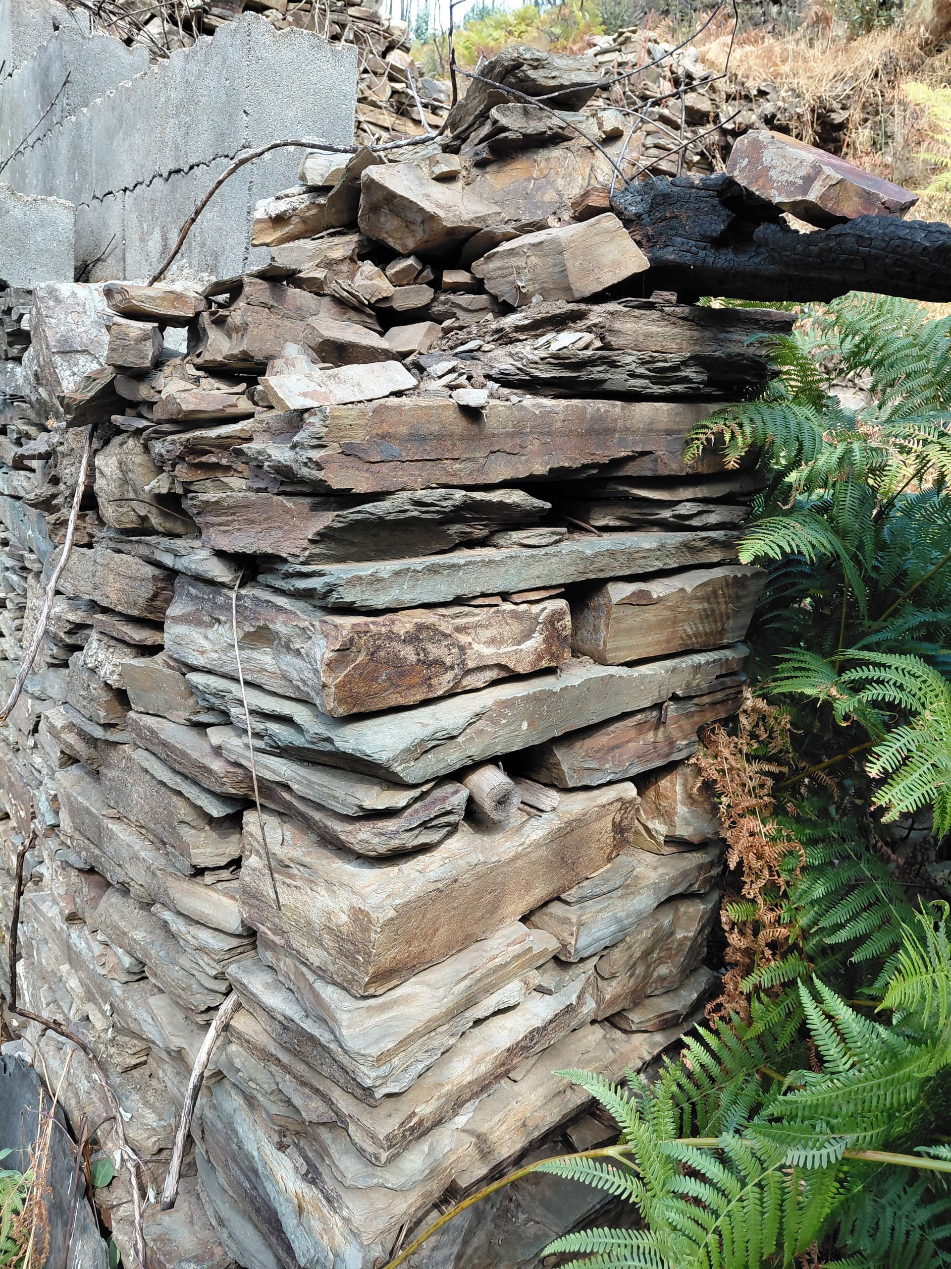 Casa5 - 20250828_155248