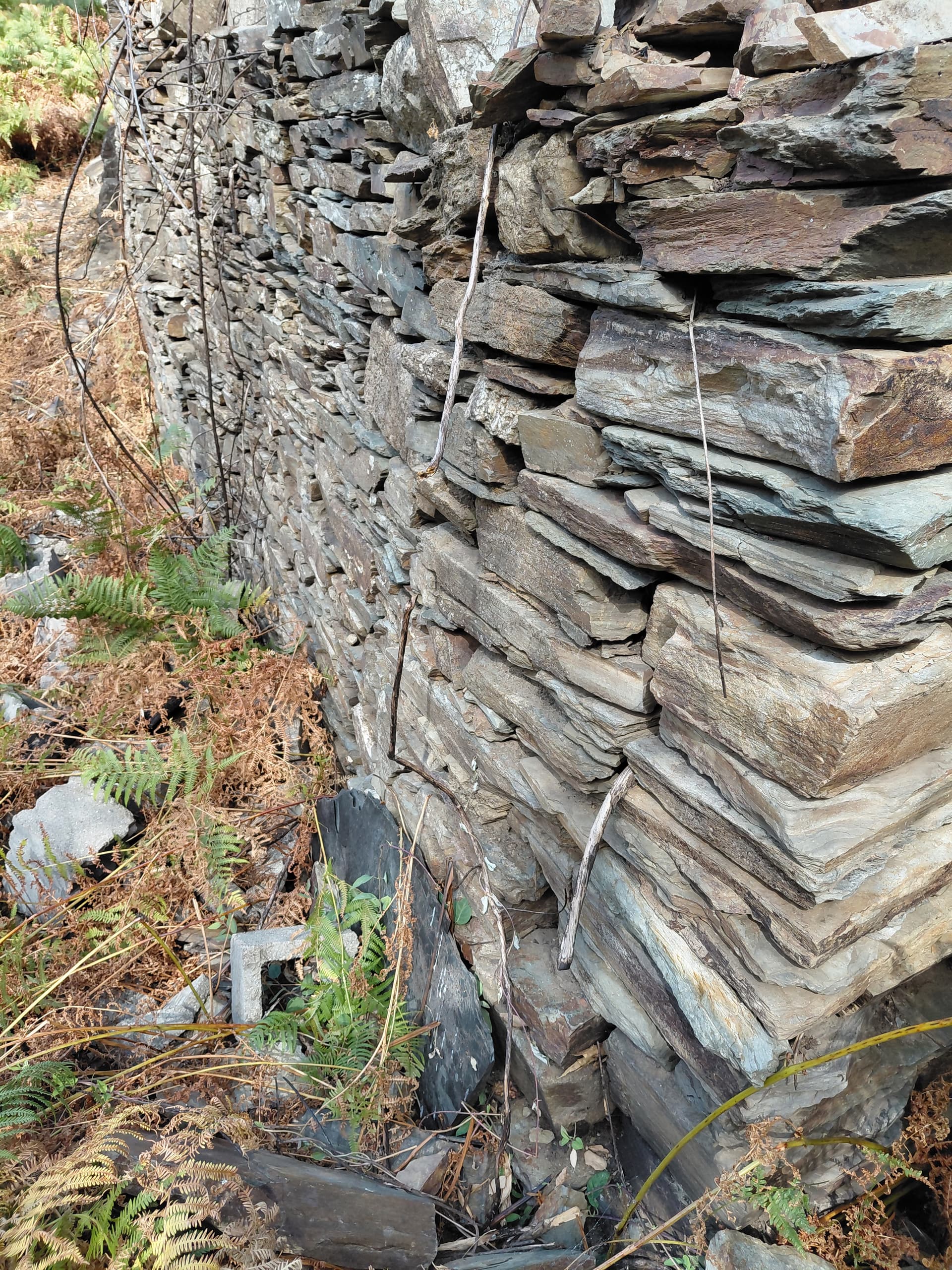 Casa5 - 20250828_155250