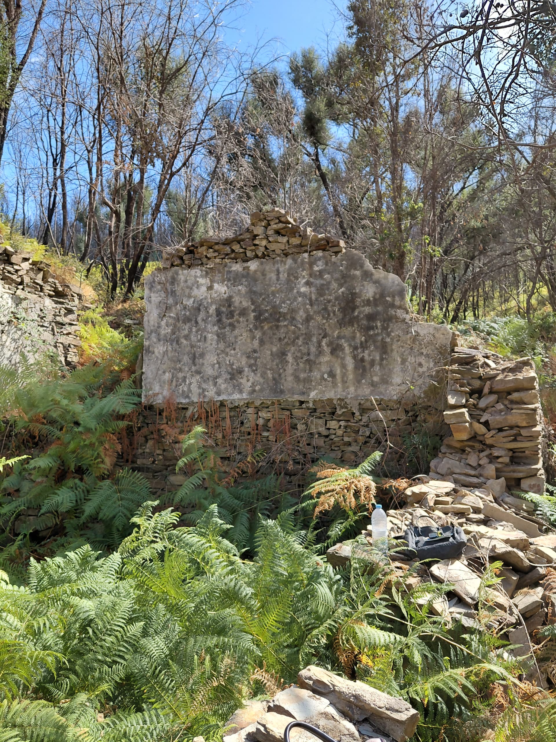 Casa5 - 20250828_155304