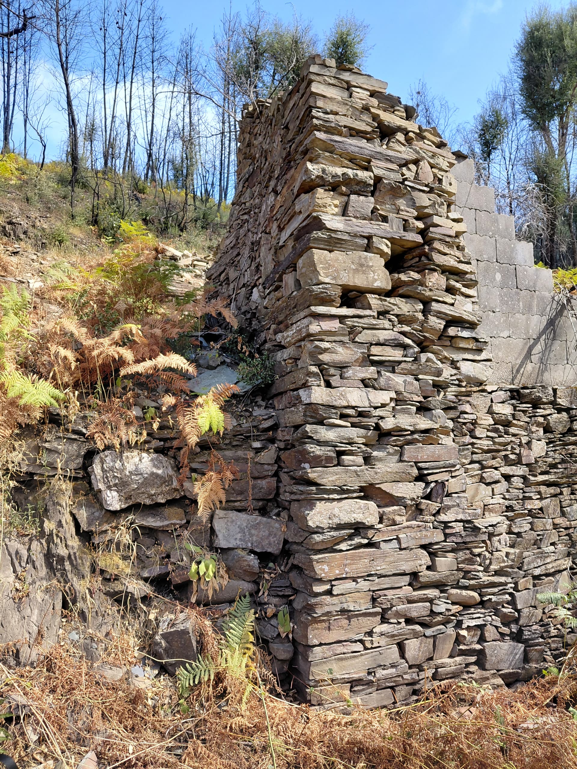 Casa5 - 20250828_155446