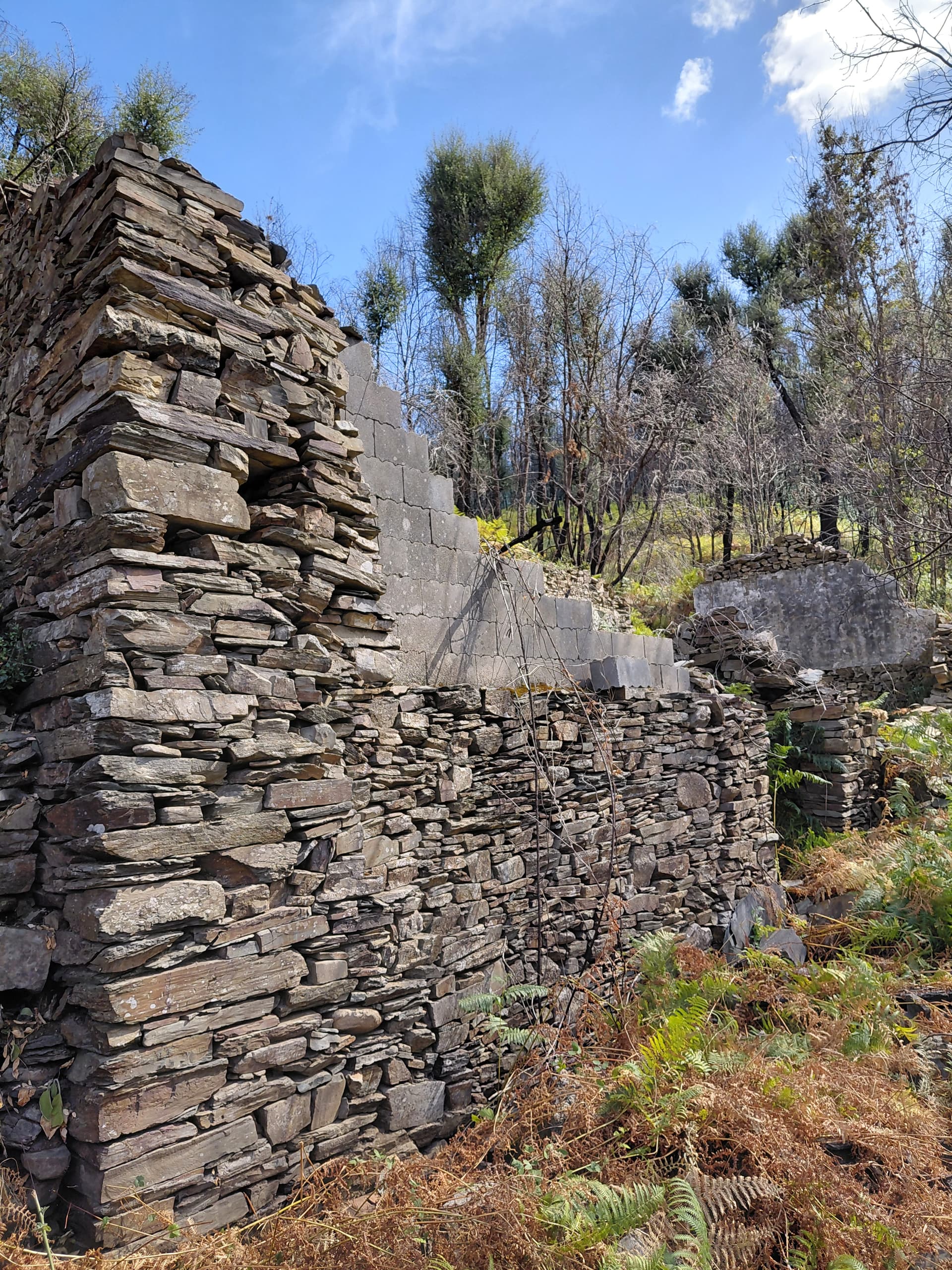 Casa5 - 20250828_155450