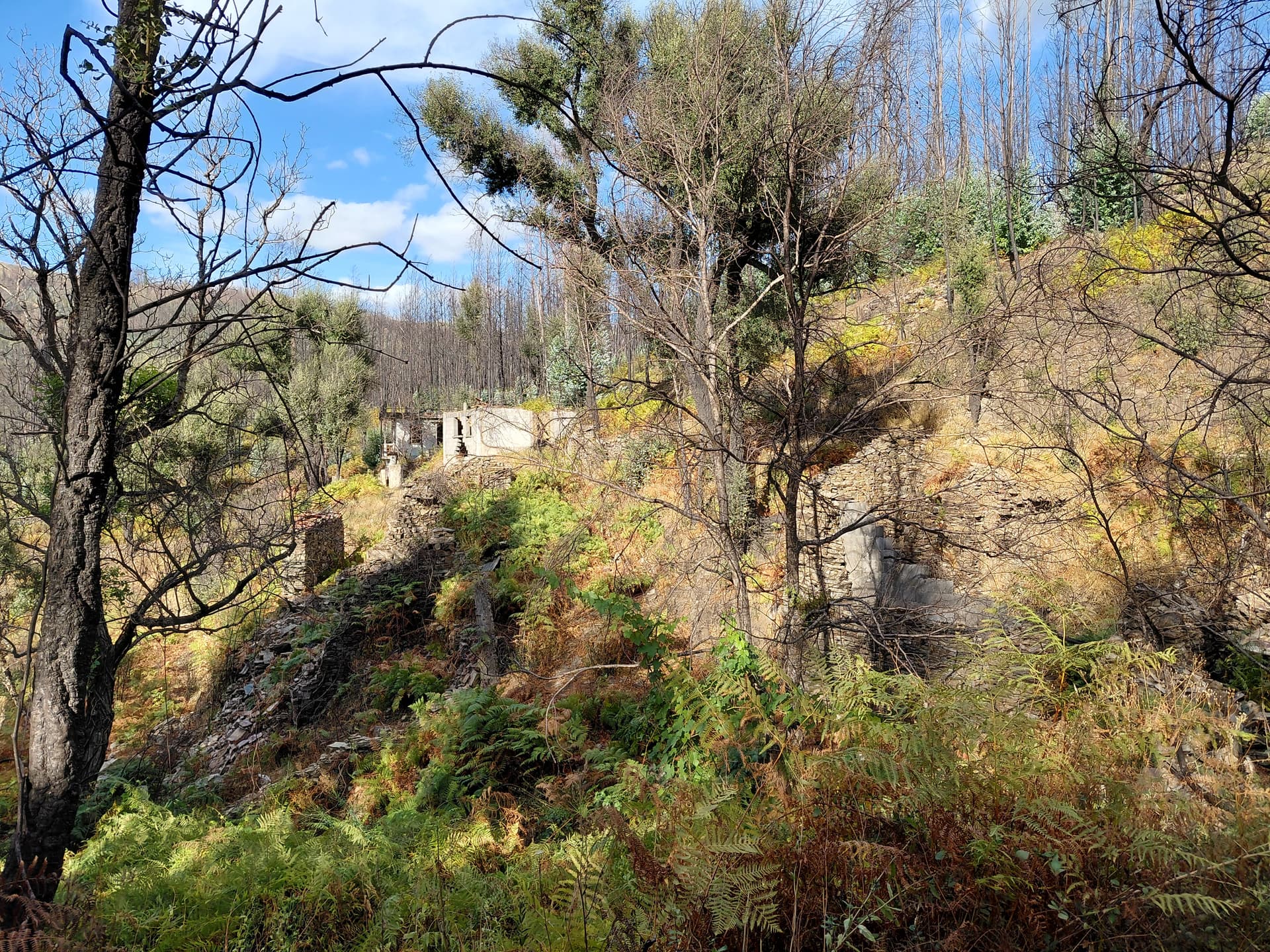 Casa5 - 20250828_174835